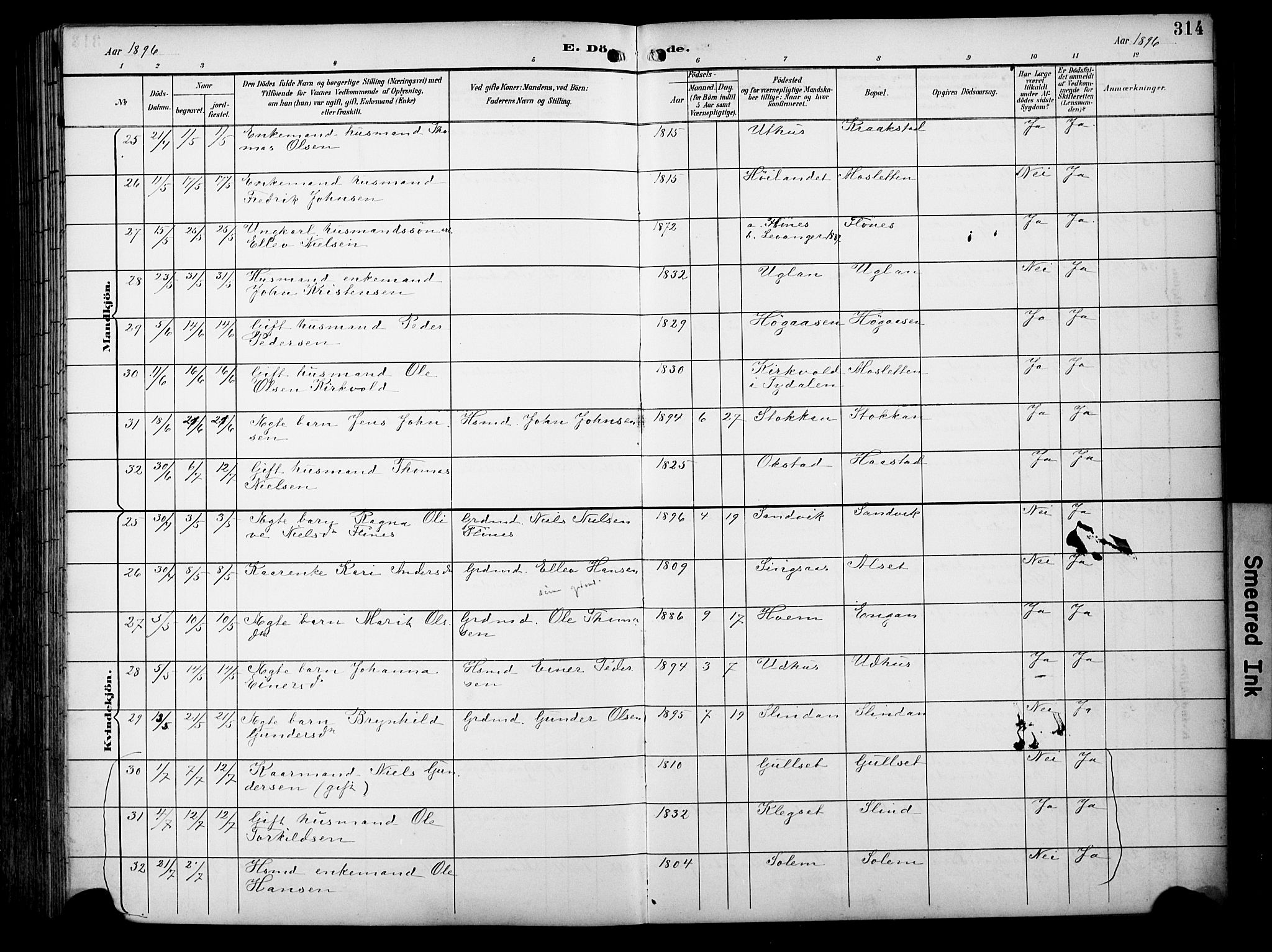 Ministerialprotokoller, klokkerbøker og fødselsregistre - Sør-Trøndelag, AV/SAT-A-1456/695/L1149: Parish register (official) no. 695A09, 1891-1902, p. 314