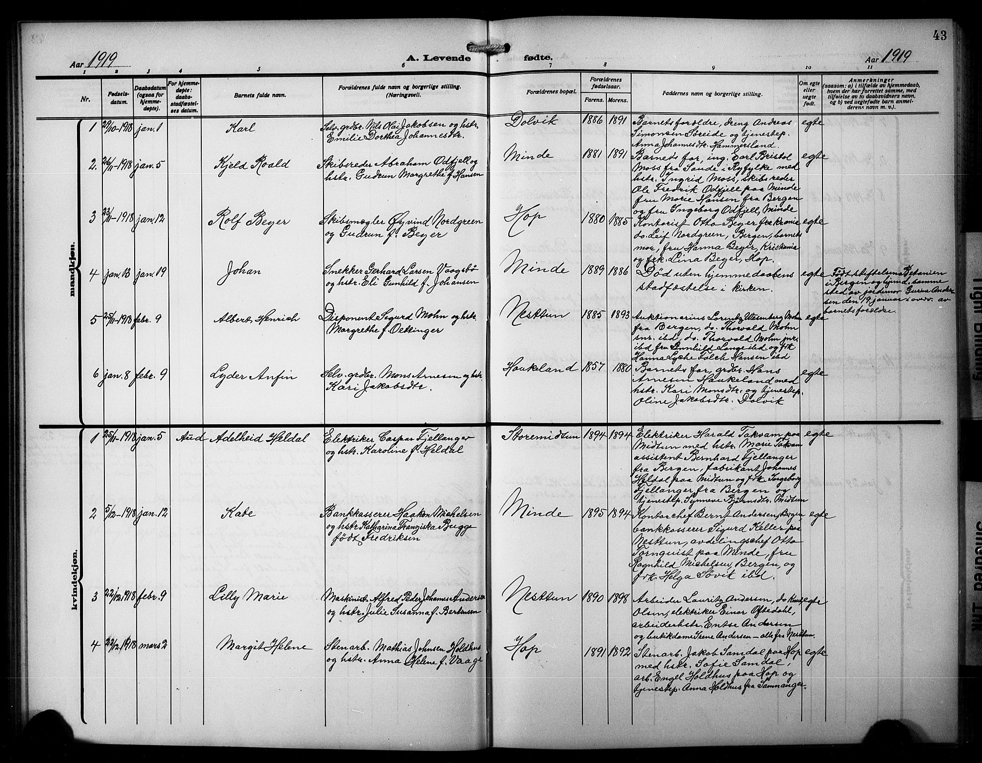 Birkeland Sokneprestembete, SAB/A-74601/H/Hab: Parish register (copy) no. A 7, 1916-1923, p. 43