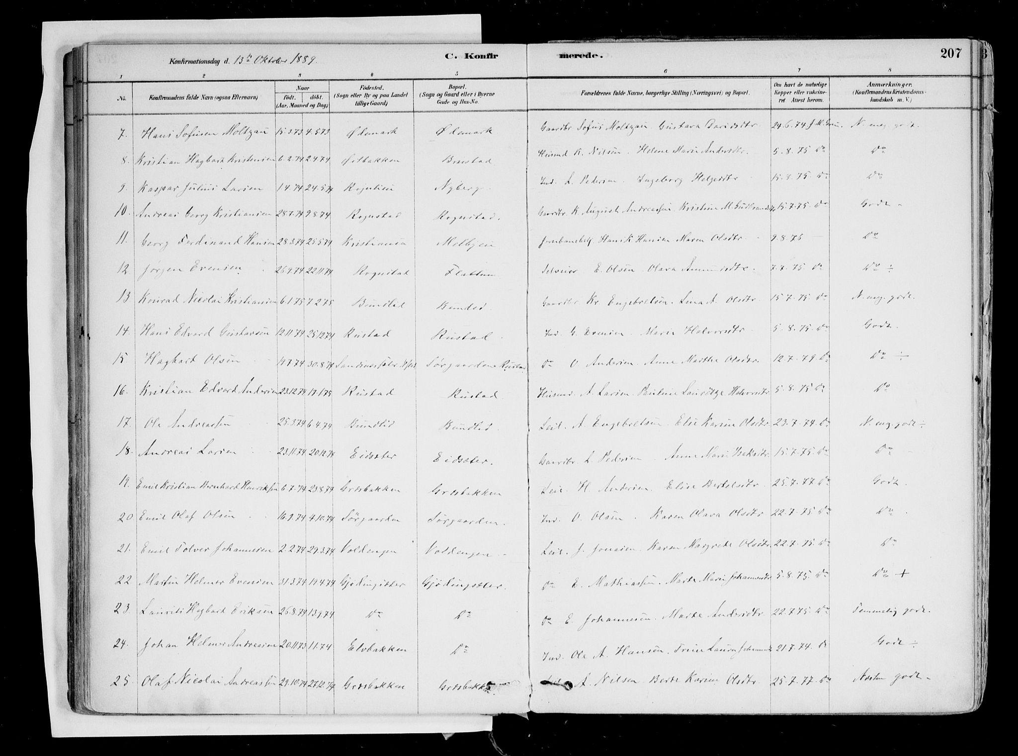 Hurdal prestekontor Kirkebøker, AV/SAO-A-10889/F/Fa/L0007: Parish register (official) no. I 7, 1878-1906, p. 207