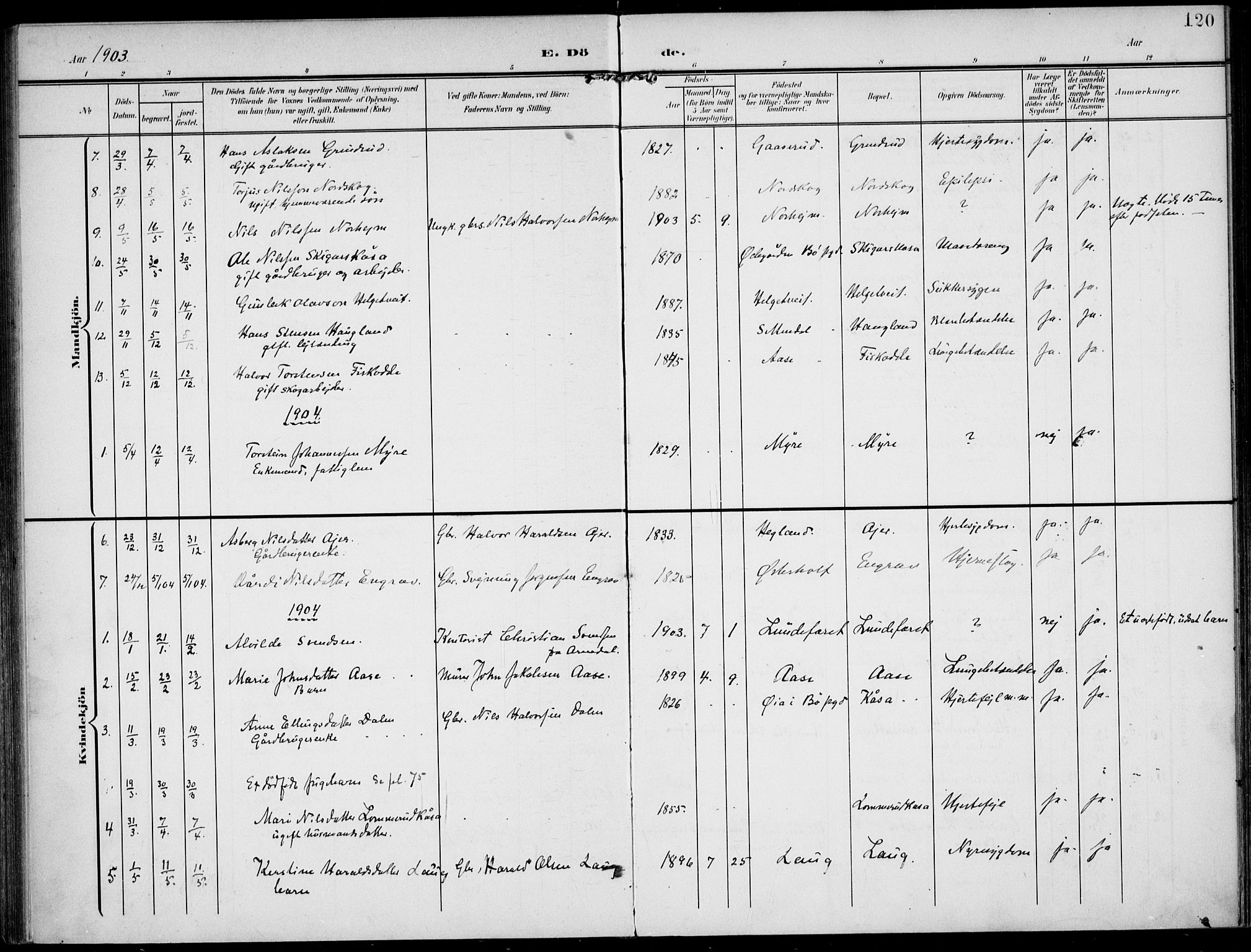 Lunde kirkebøker, AV/SAKO-A-282/F/Fa/L0004: Parish register (official) no. I 4, 1902-1913, p. 120