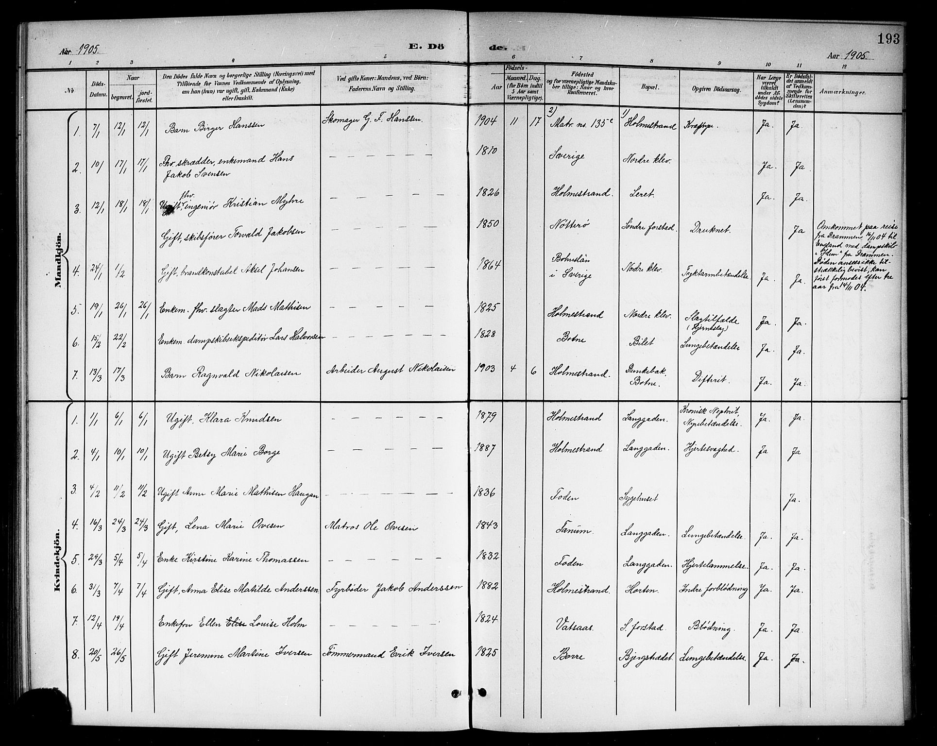 Holmestrand kirkebøker, AV/SAKO-A-346/G/Ga/L0006: Parish register (copy) no. 6, 1901-1923, p. 193