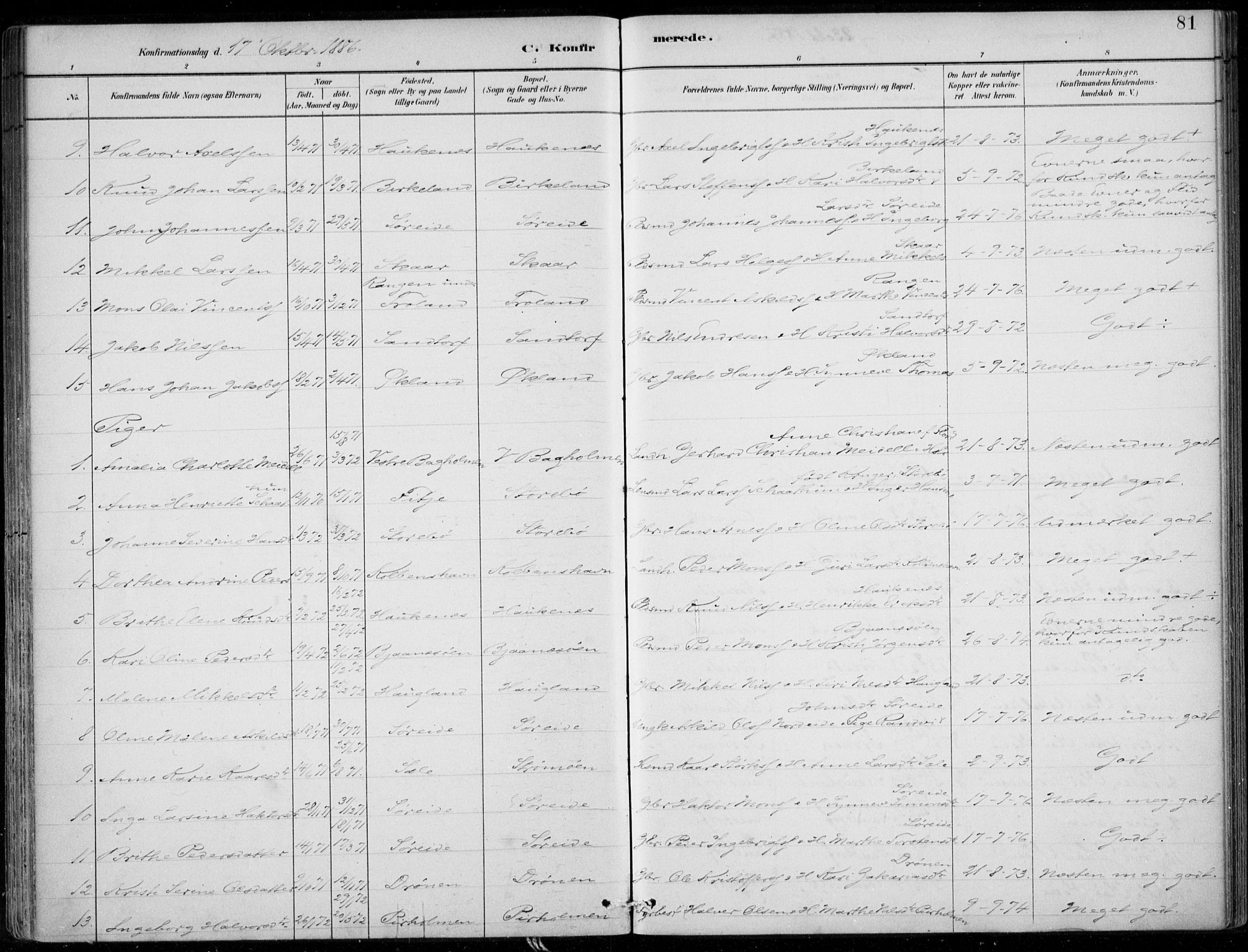 Sund sokneprestembete, SAB/A-99930: Parish register (official) no. C  1, 1882-1899, p. 81