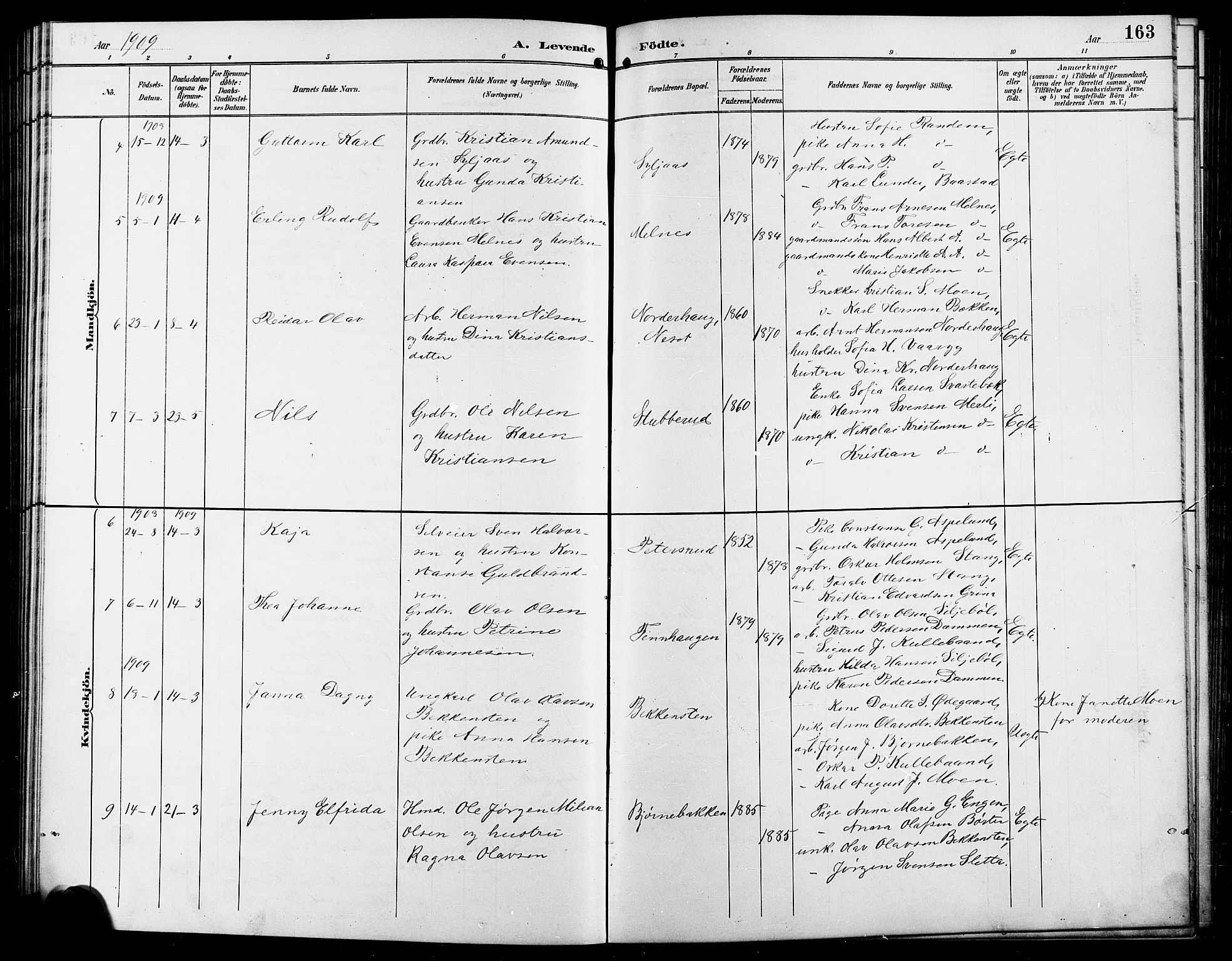 Enebakk prestekontor Kirkebøker, SAO/A-10171c/G/Ga/L0006: Parish register (copy) no. I 6, 1889-1911, p. 163