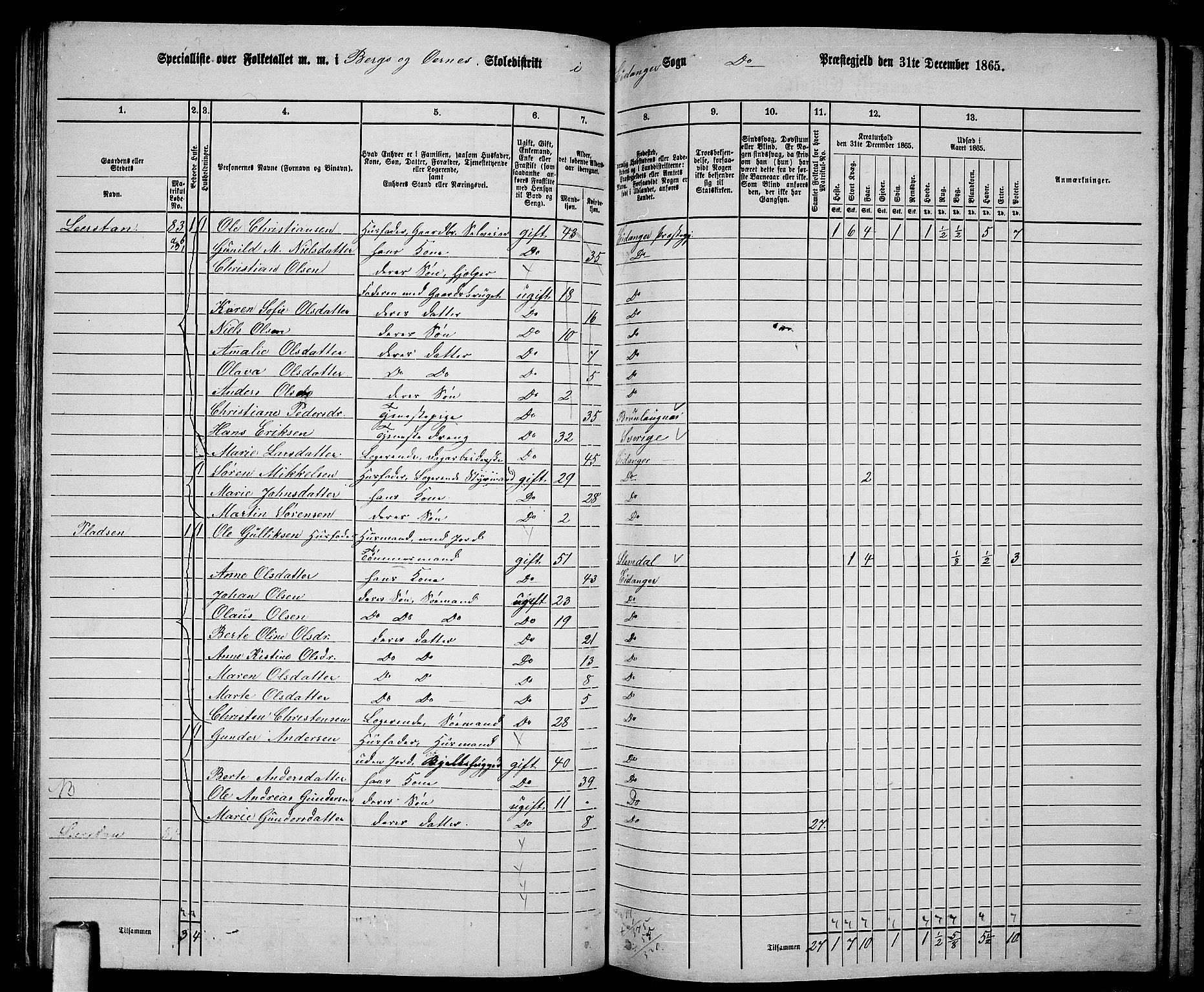 RA, 1865 census for Eidanger, 1865, p. 54