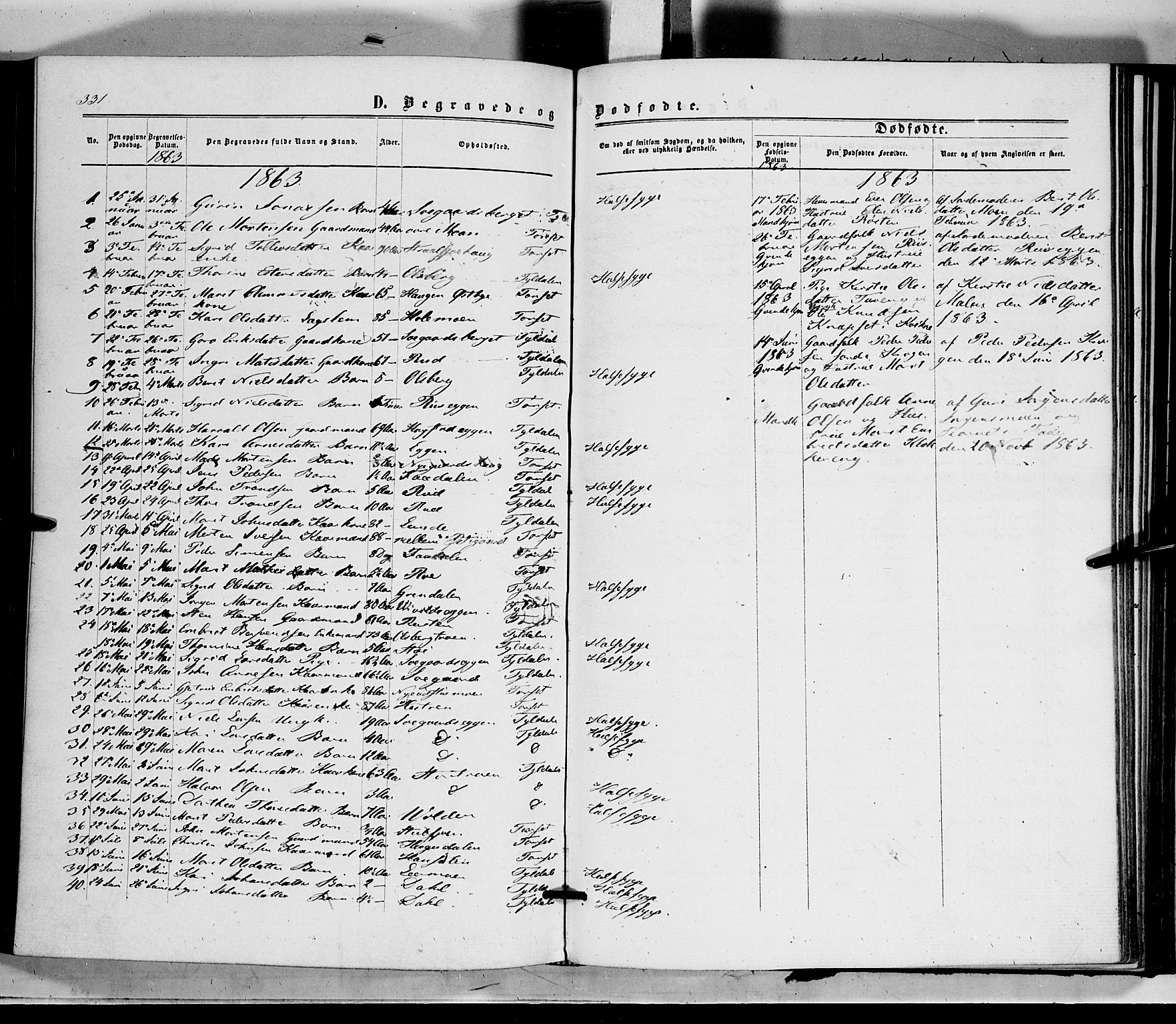 Tynset prestekontor, SAH/PREST-058/H/Ha/Haa/L0021: Parish register (official) no. 21, 1863-1879, p. 331