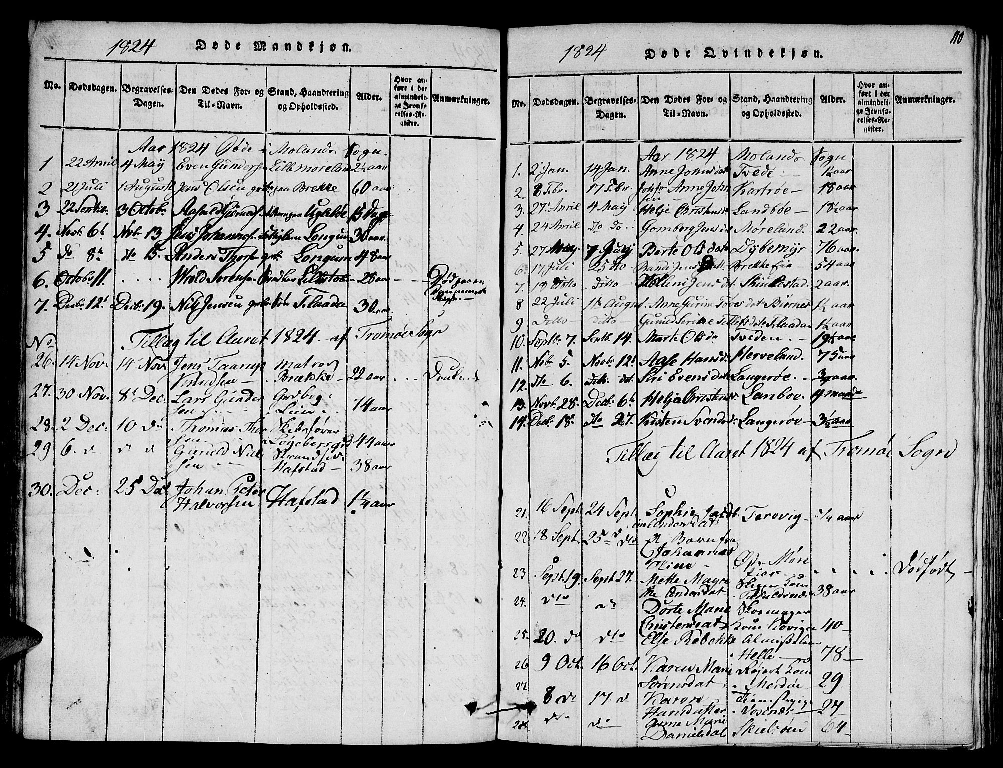 Austre Moland sokneprestkontor, AV/SAK-1111-0001/F/Fa/Faa/L0004: Parish register (official) no. A 4, 1816-1824, p. 110