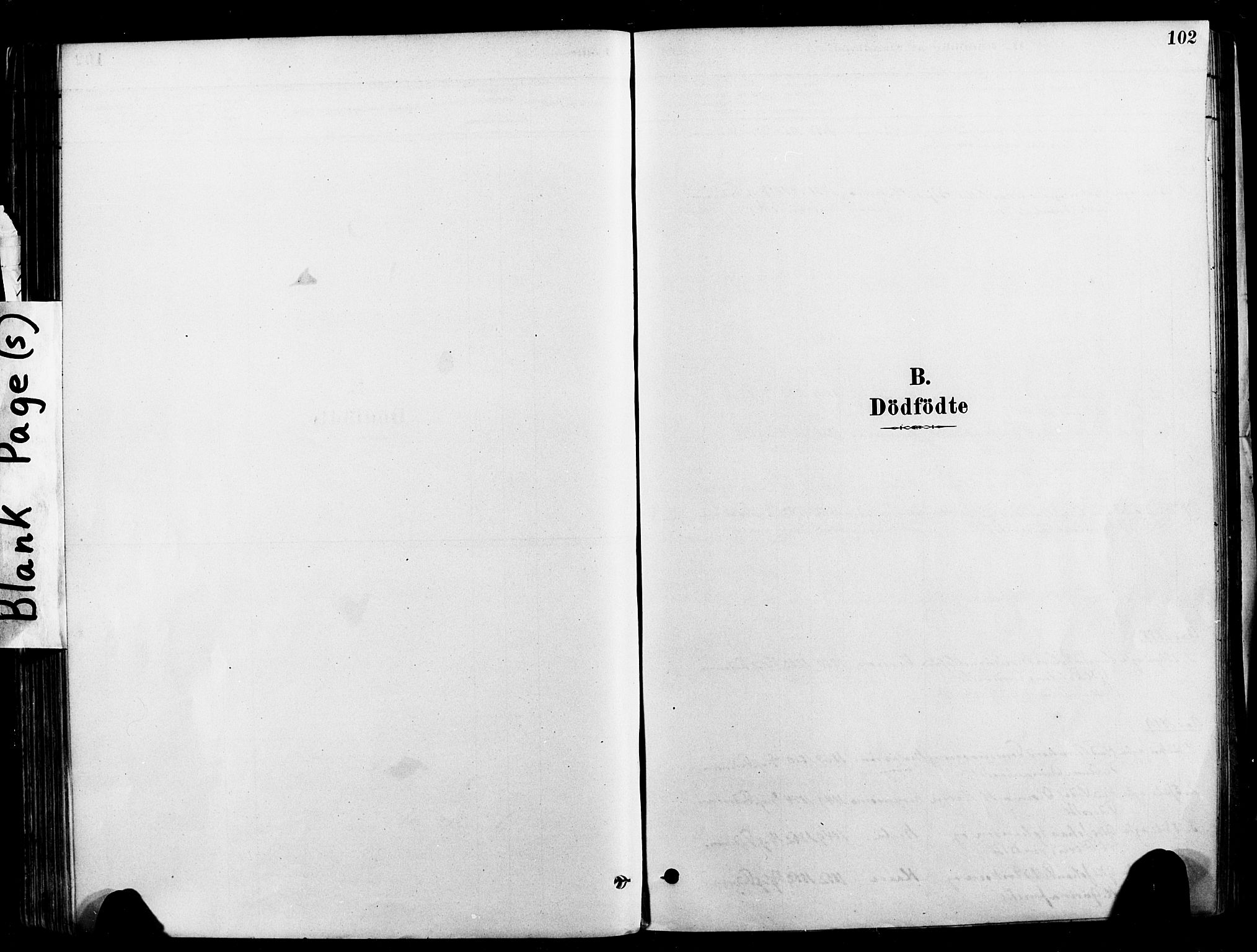 Ministerialprotokoller, klokkerbøker og fødselsregistre - Nord-Trøndelag, SAT/A-1458/709/L0077: Parish register (official) no. 709A17, 1880-1895, p. 102