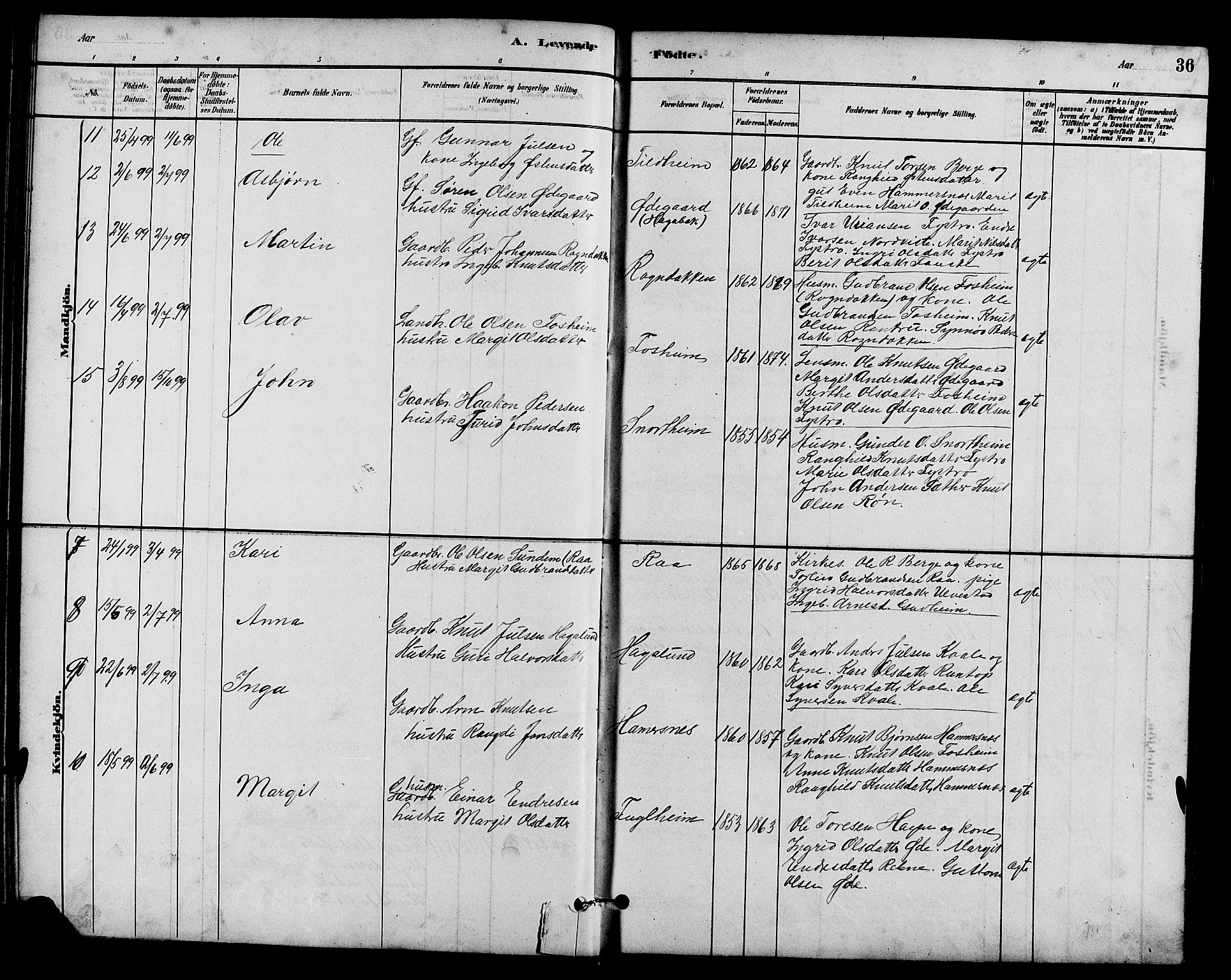 Vestre Slidre prestekontor, SAH/PREST-136/H/Ha/Hab/L0005: Parish register (copy) no. 5, 1881-1913, p. 36