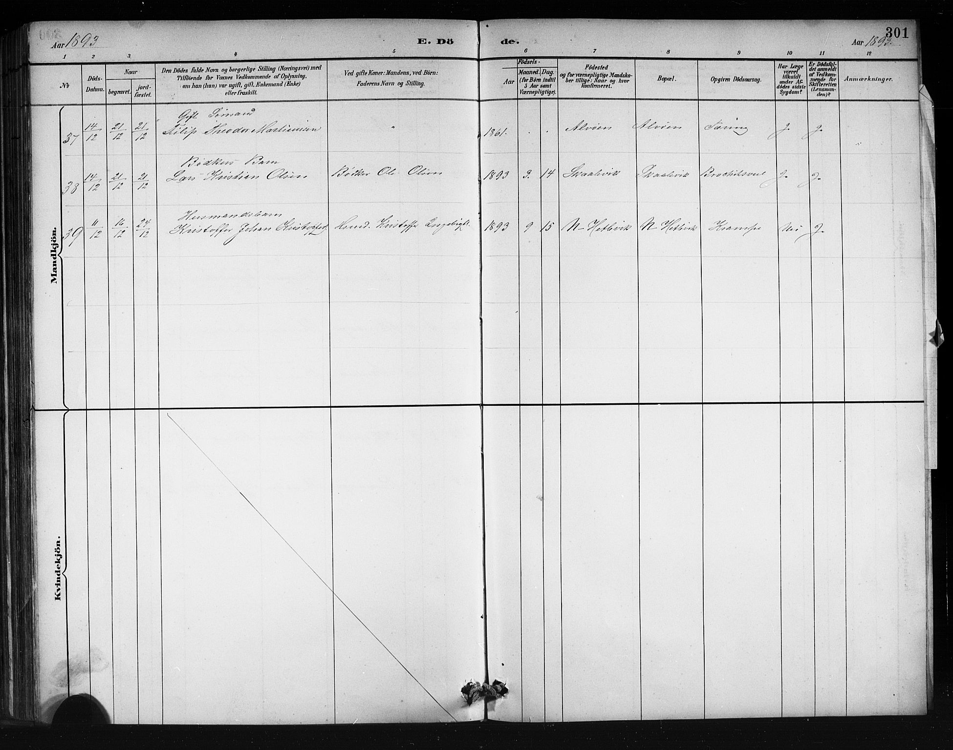 Askøy Sokneprestembete, AV/SAB-A-74101/H/Ha/Hab/Haba/L0008: Parish register (copy) no. A 8, 1882-1893, p. 301