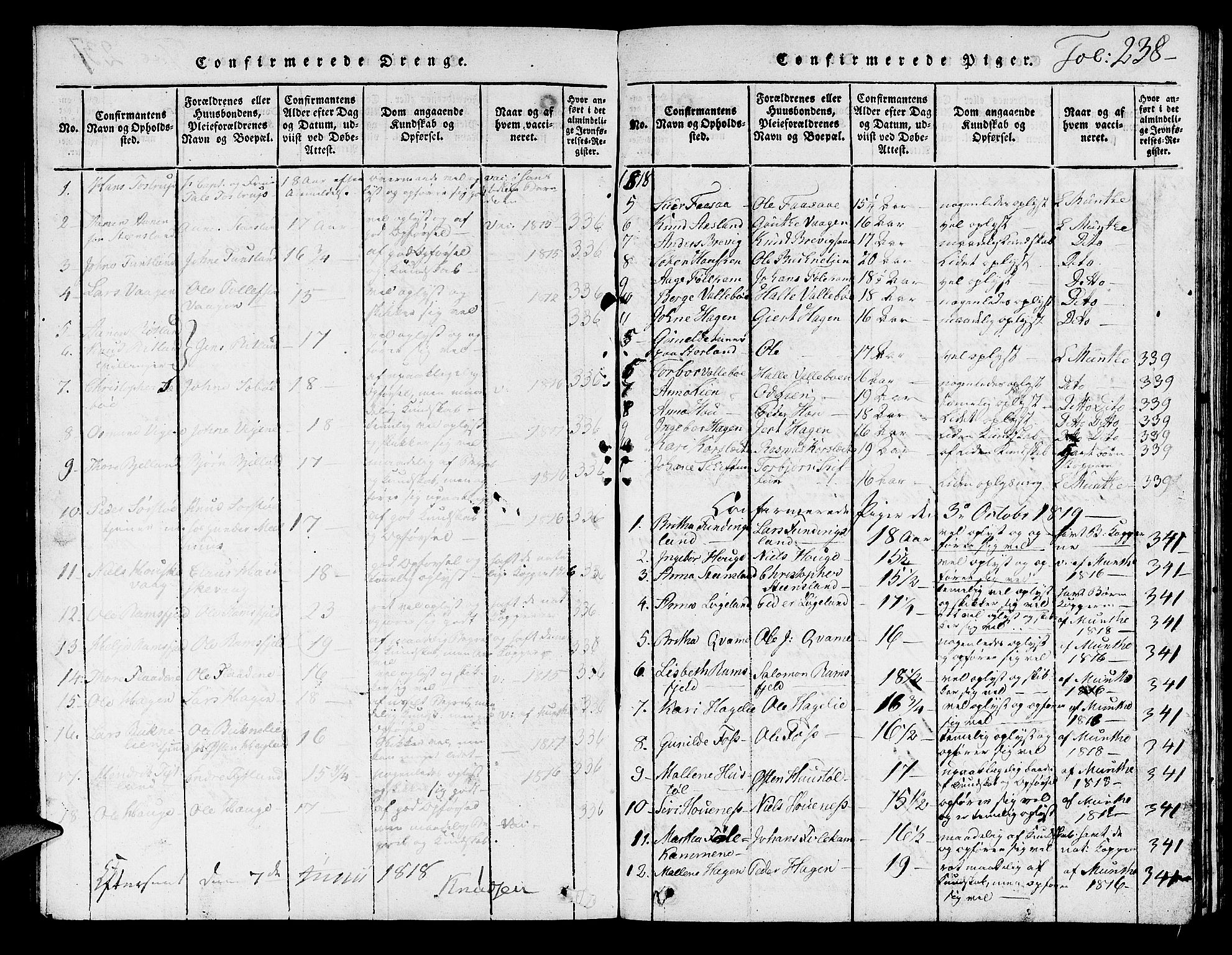 Hjelmeland sokneprestkontor, AV/SAST-A-101843/01/V/L0001: Parish register (copy) no. B 1, 1816-1841, p. 238