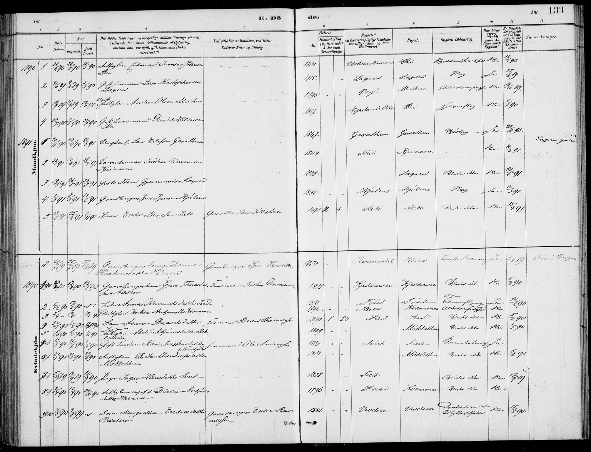 Ulvik sokneprestembete, SAB/A-78801/H/Haa: Parish register (official) no. D  1, 1878-1903, p. 133