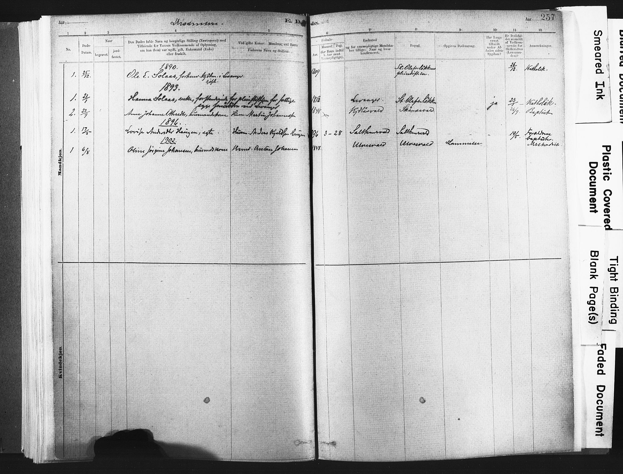 Ministerialprotokoller, klokkerbøker og fødselsregistre - Nord-Trøndelag, SAT/A-1458/721/L0207: Parish register (official) no. 721A02, 1880-1911, p. 257
