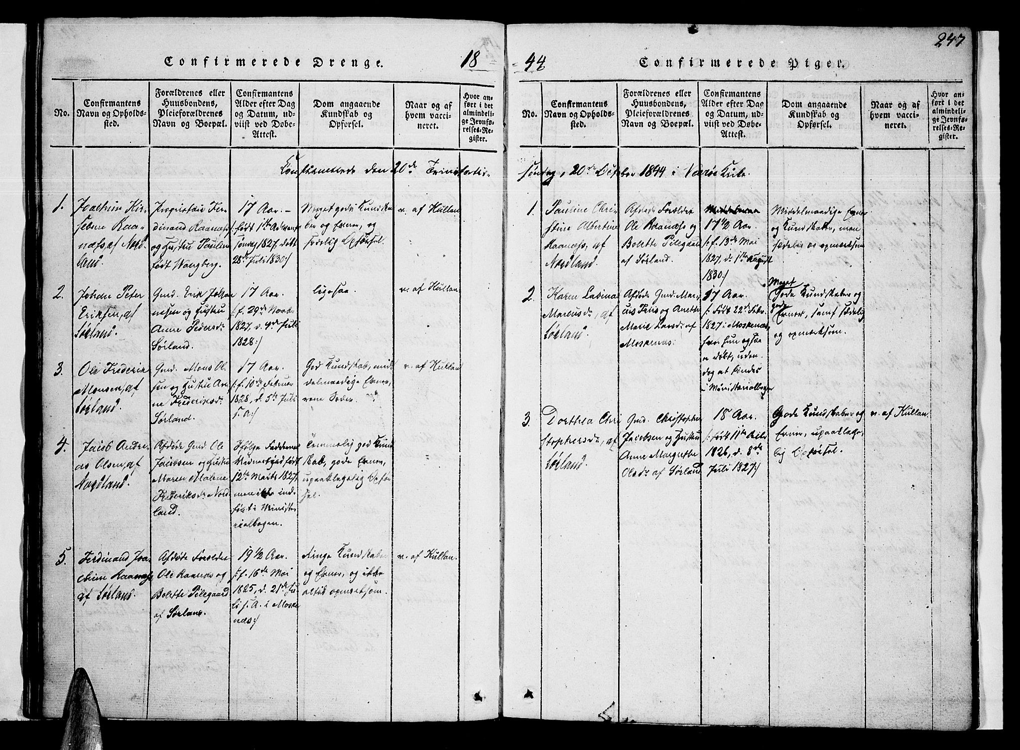 Ministerialprotokoller, klokkerbøker og fødselsregistre - Nordland, AV/SAT-A-1459/807/L0120: Parish register (official) no. 807A03, 1821-1848, p. 247