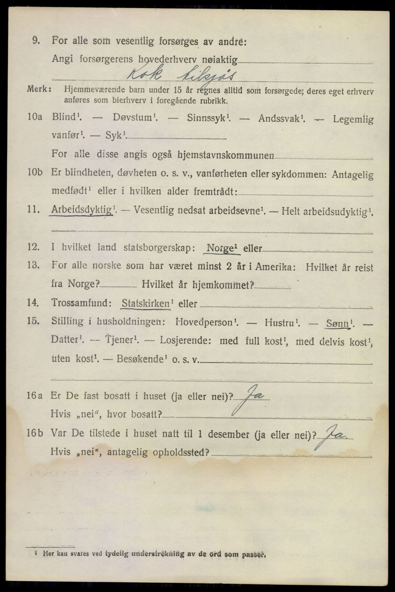 SAKO, 1920 census for Nøtterøy, 1920, p. 4100