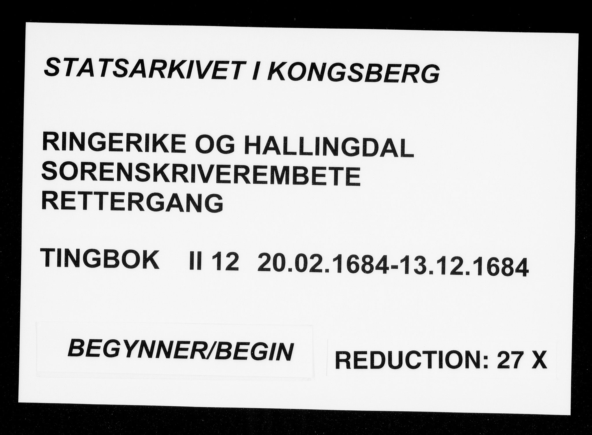 Ringerike og Hallingdal sorenskriveri, SAKO/A-81/F/Fa/Fab/L0012: Tingbok - Sorenskriveriet, 1684