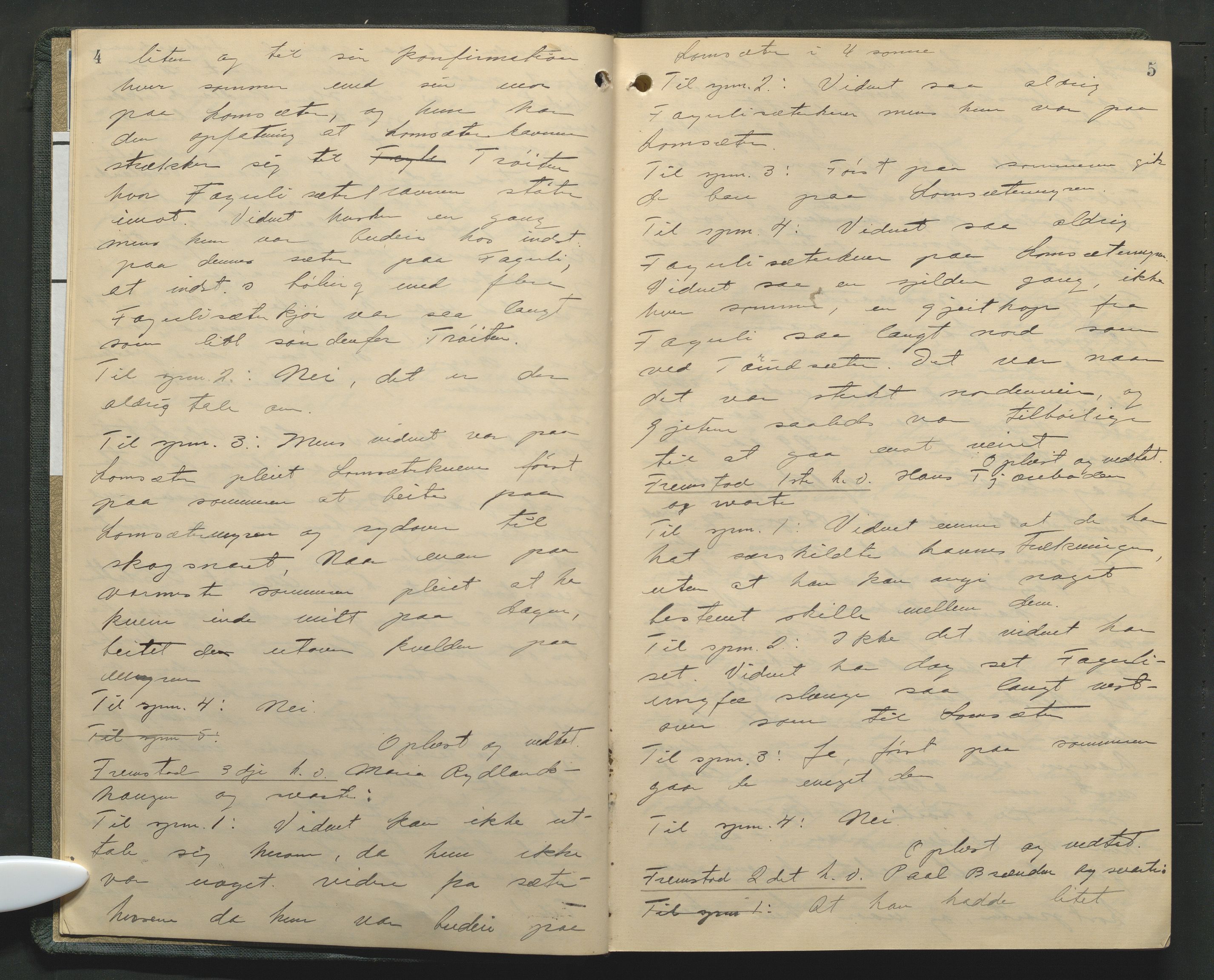 Nord-Gudbrandsdal tingrett, AV/SAH-TING-002/G/Gc/Gcb/L0013: Ekstrarettsprotokoll for åstedssaker, 1919-1927, p. 4-5