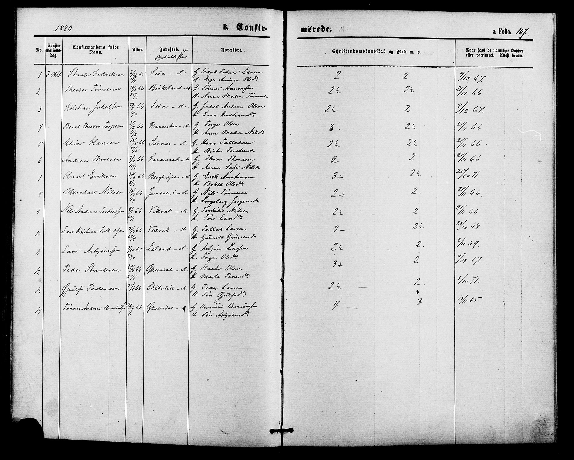 Bakke sokneprestkontor, SAK/1111-0002/F/Fa/Faa/L0007: Parish register (official) no. A 7, 1877-1886, p. 107