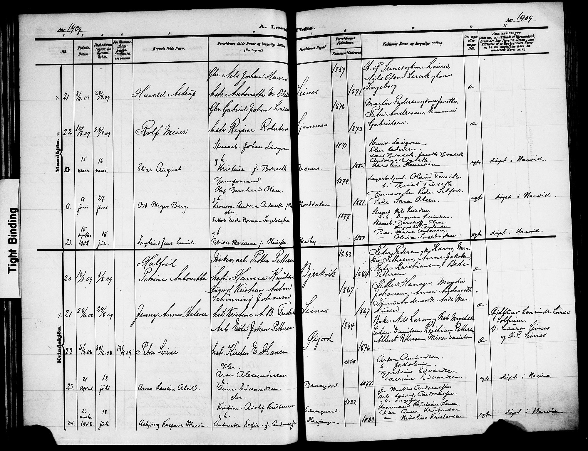 Ministerialprotokoller, klokkerbøker og fødselsregistre - Nordland, AV/SAT-A-1459/866/L0954: Parish register (copy) no. 866C03, 1905-1923