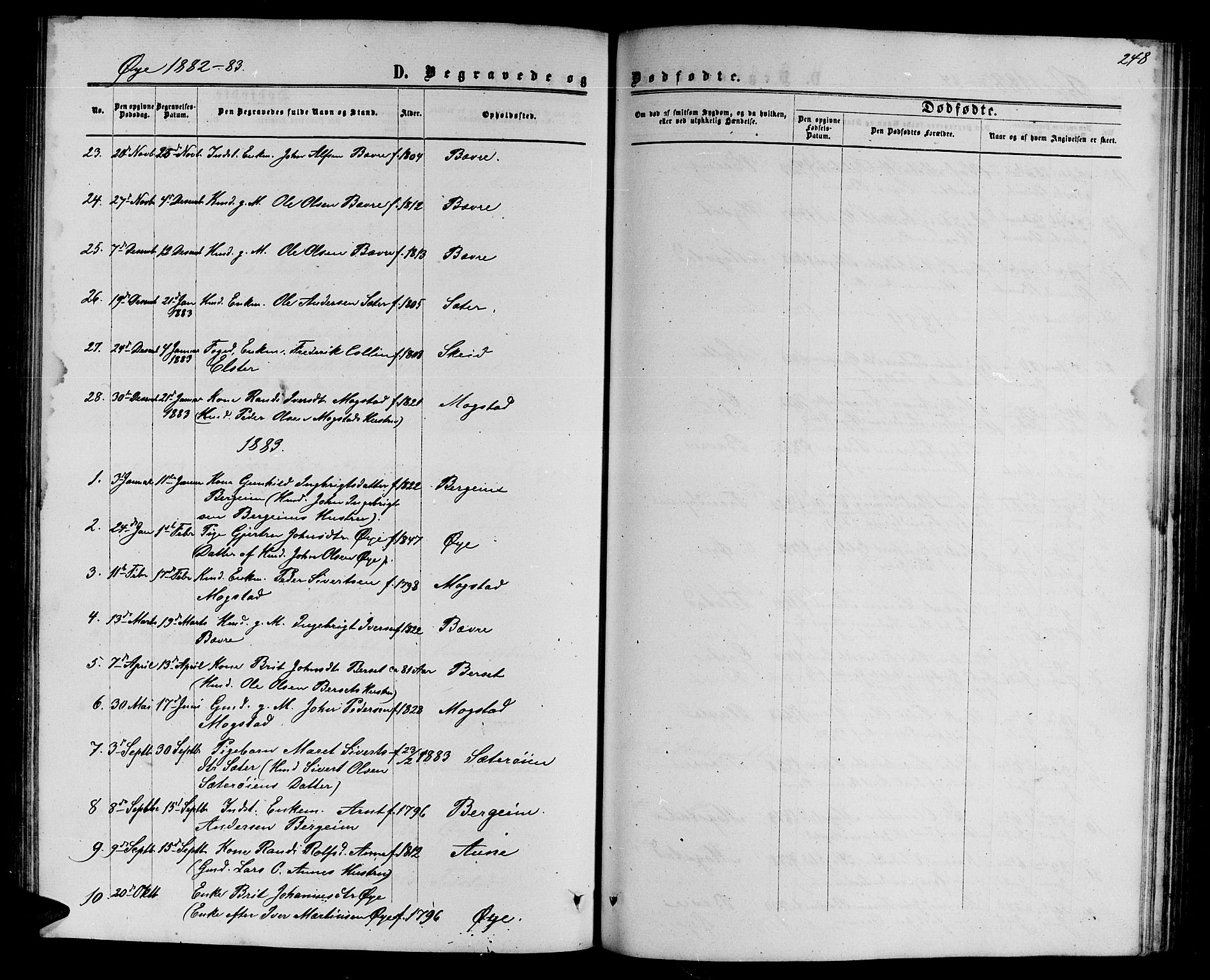 Ministerialprotokoller, klokkerbøker og fødselsregistre - Møre og Romsdal, SAT/A-1454/595/L1051: Parish register (copy) no. 595C03, 1866-1891, p. 248