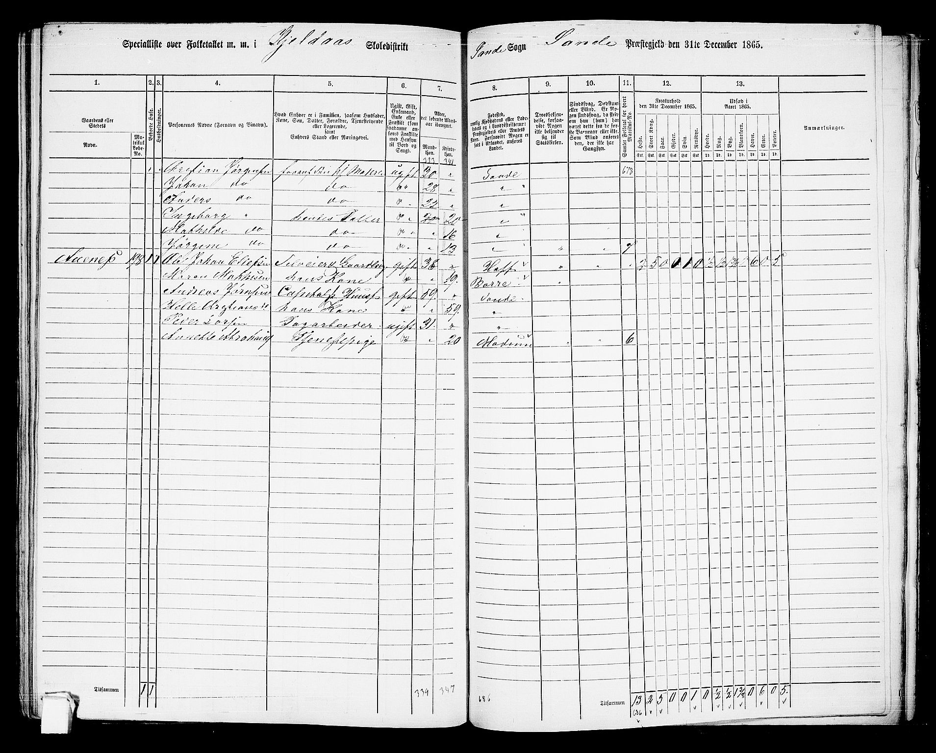 RA, 1865 census for Sande, 1865, p. 110