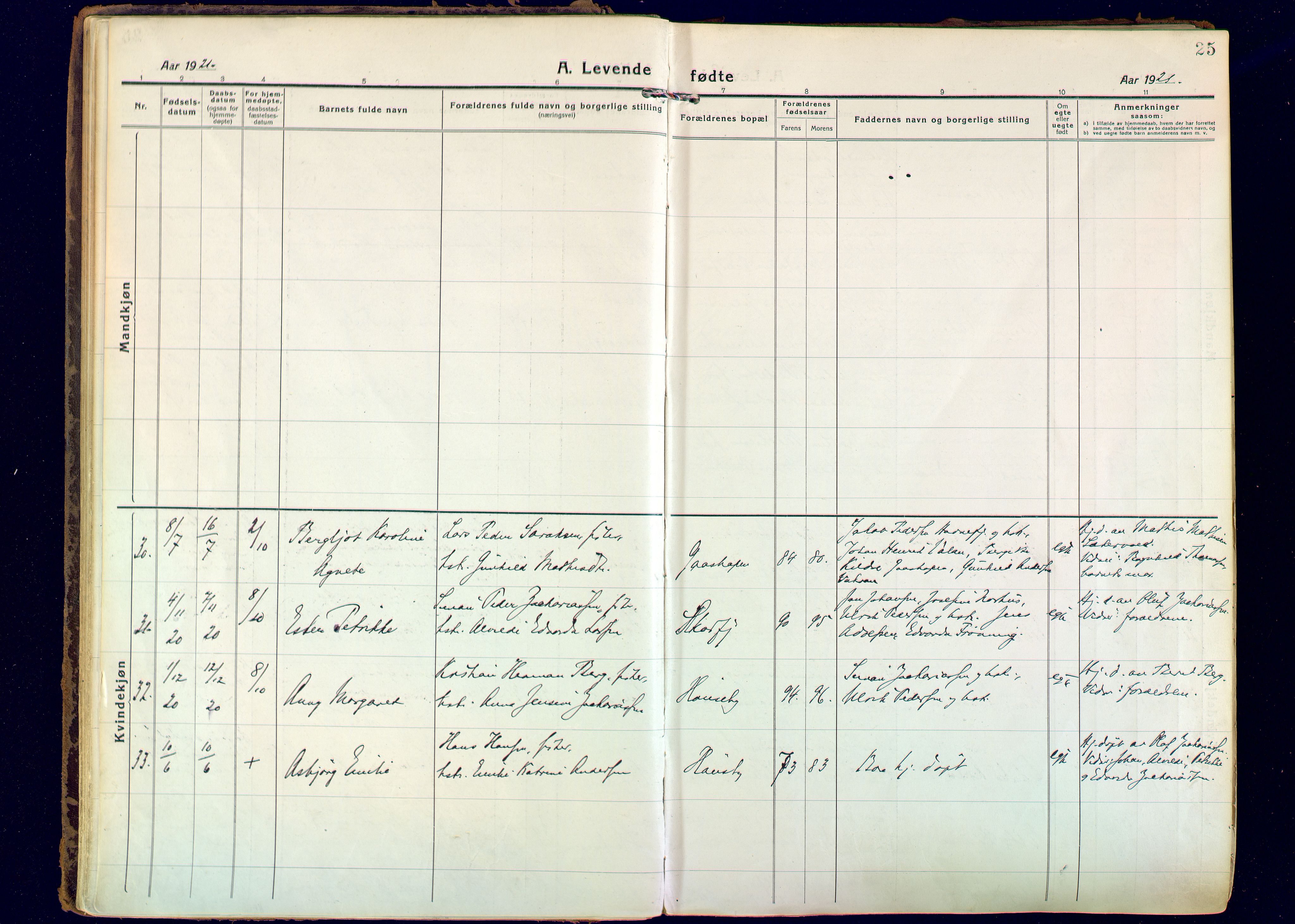 Hammerfest sokneprestkontor, AV/SATØ-S-1347/H/Ha/L0018.kirke: Parish register (official) no. 18, 1918-1933, p. 25