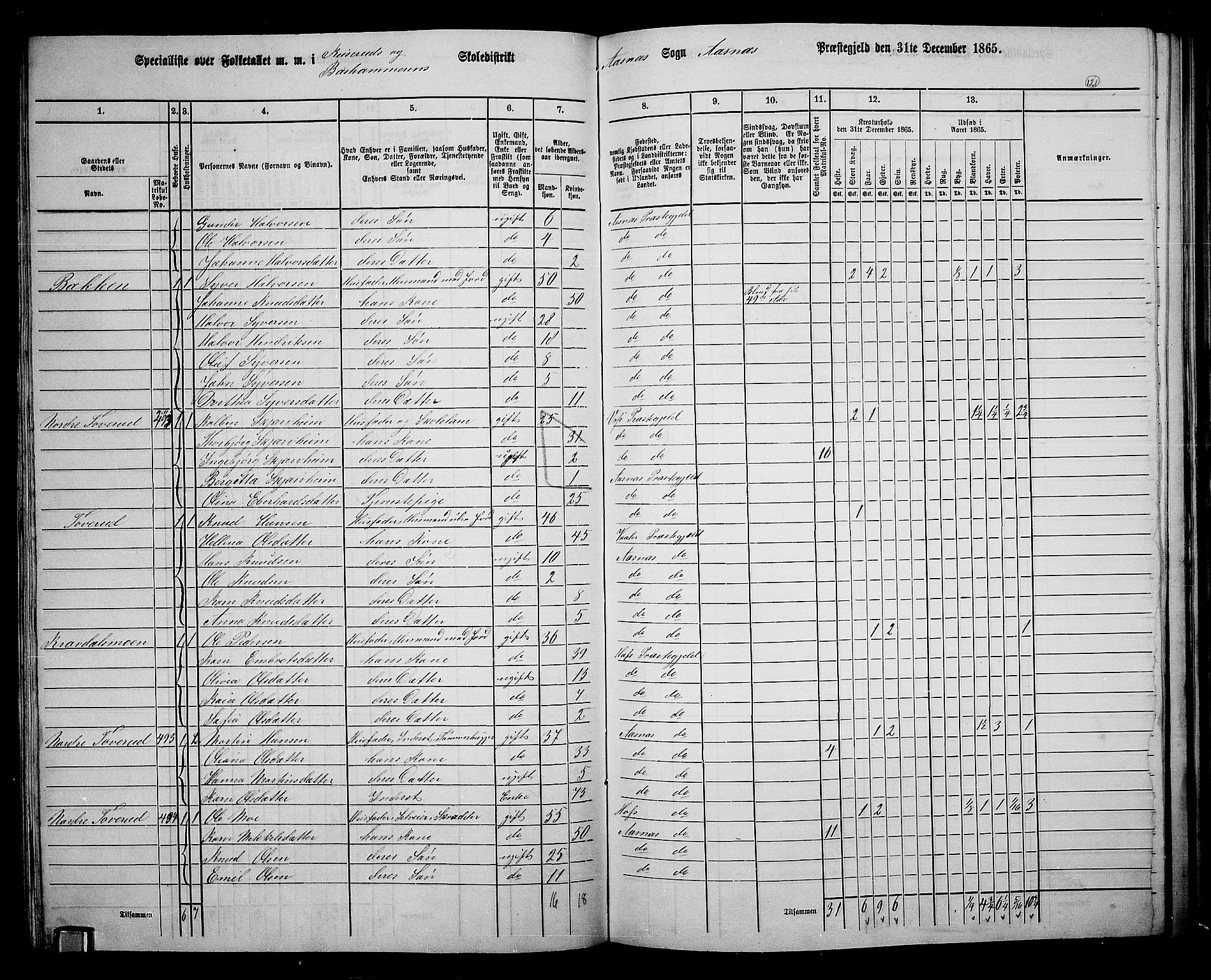 RA, 1865 census for Åsnes, 1865, p. 112