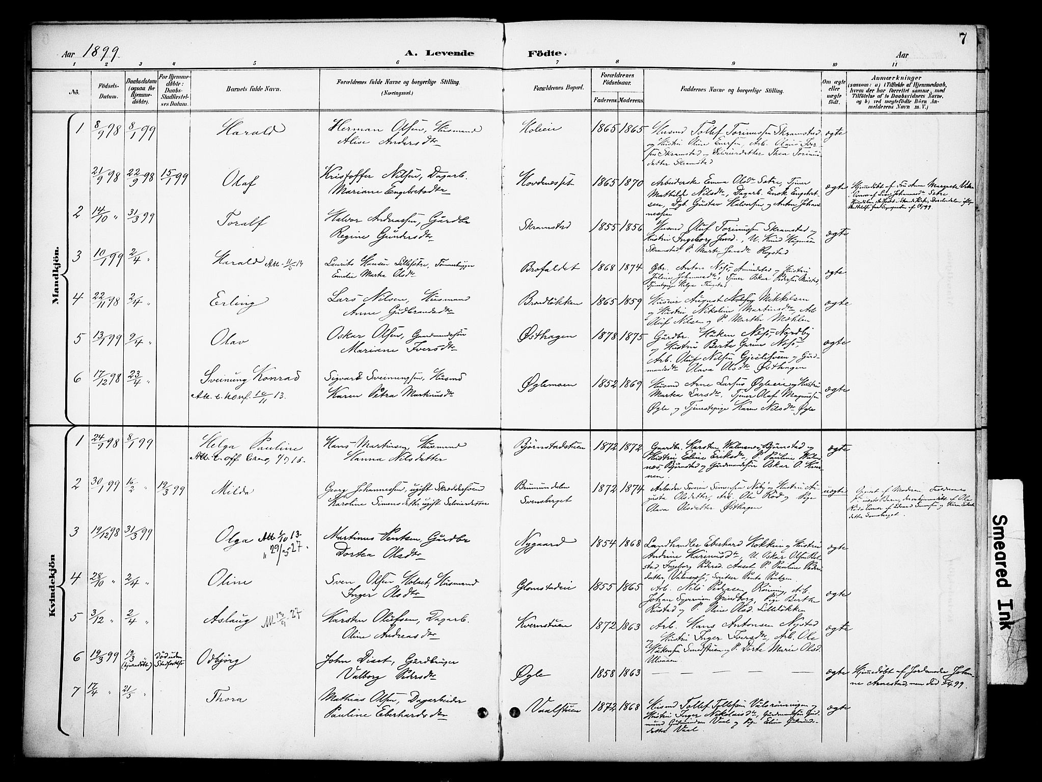 Åmot prestekontor, Hedmark, SAH/PREST-056/H/Ha/Haa/L0013: Parish register (official) no. 13, 1898-1906, p. 7