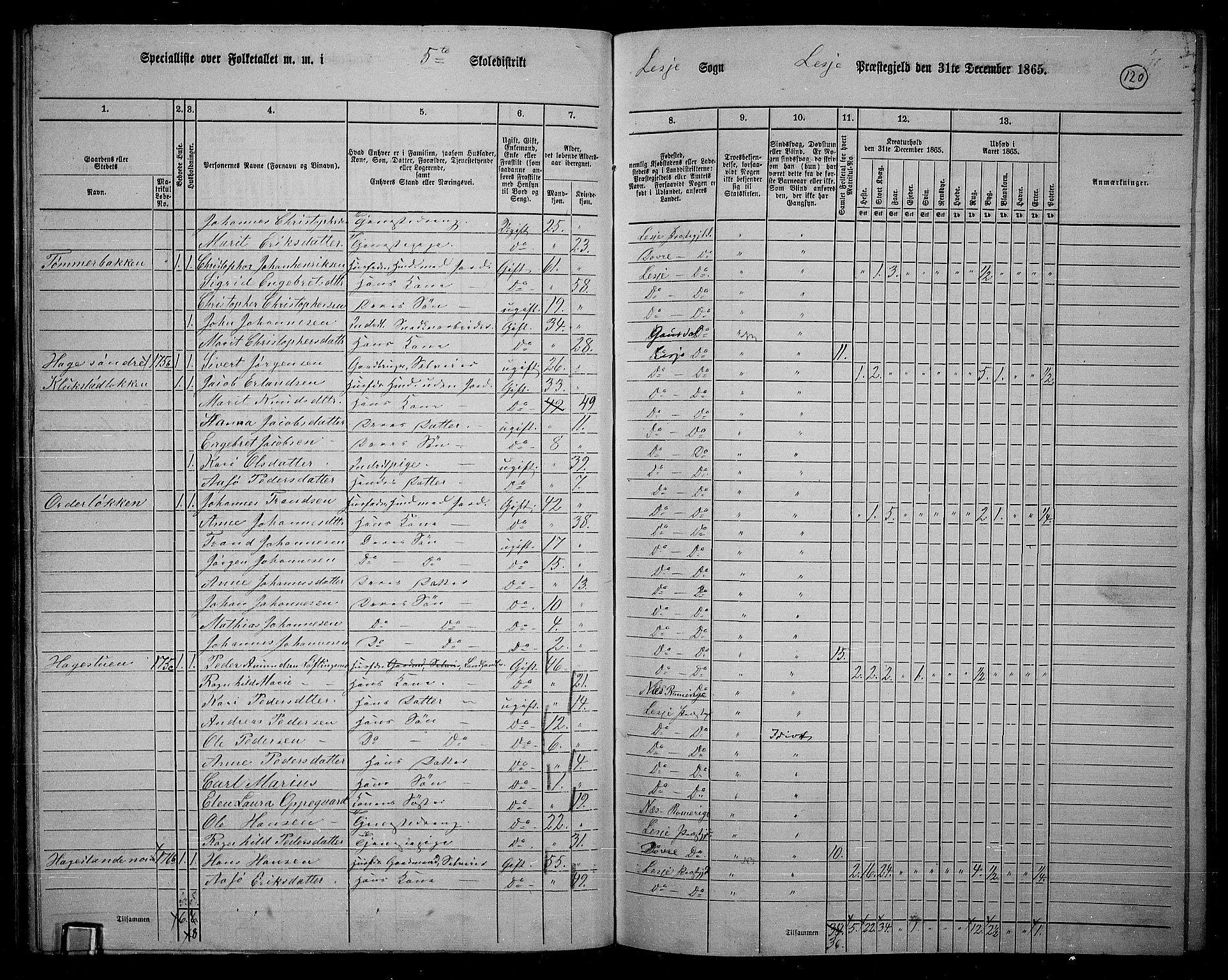 RA, 1865 census for Lesja, 1865, p. 107