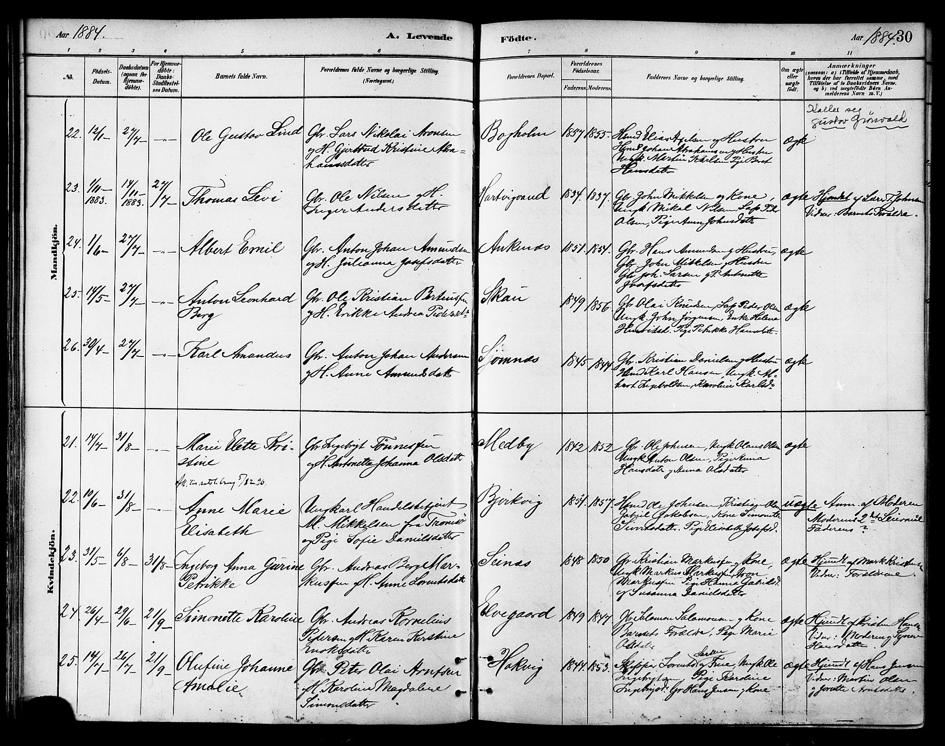 Ministerialprotokoller, klokkerbøker og fødselsregistre - Nordland, AV/SAT-A-1459/866/L0938: Parish register (official) no. 866A01, 1879-1893, p. 30