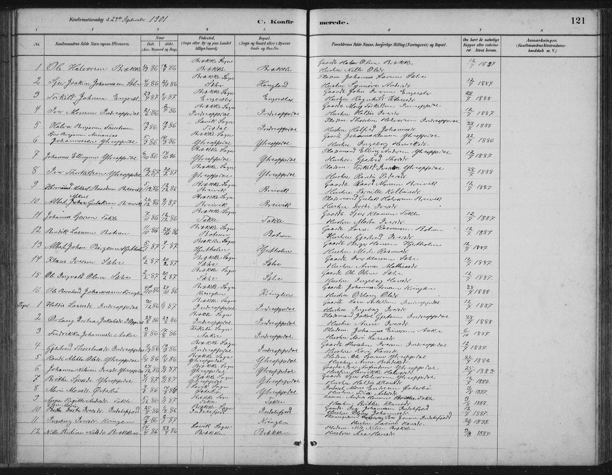 Gulen sokneprestembete, AV/SAB-A-80201/H/Hab/Habc/L0002: Parish register (copy) no. C 2, 1880-1938, p. 121