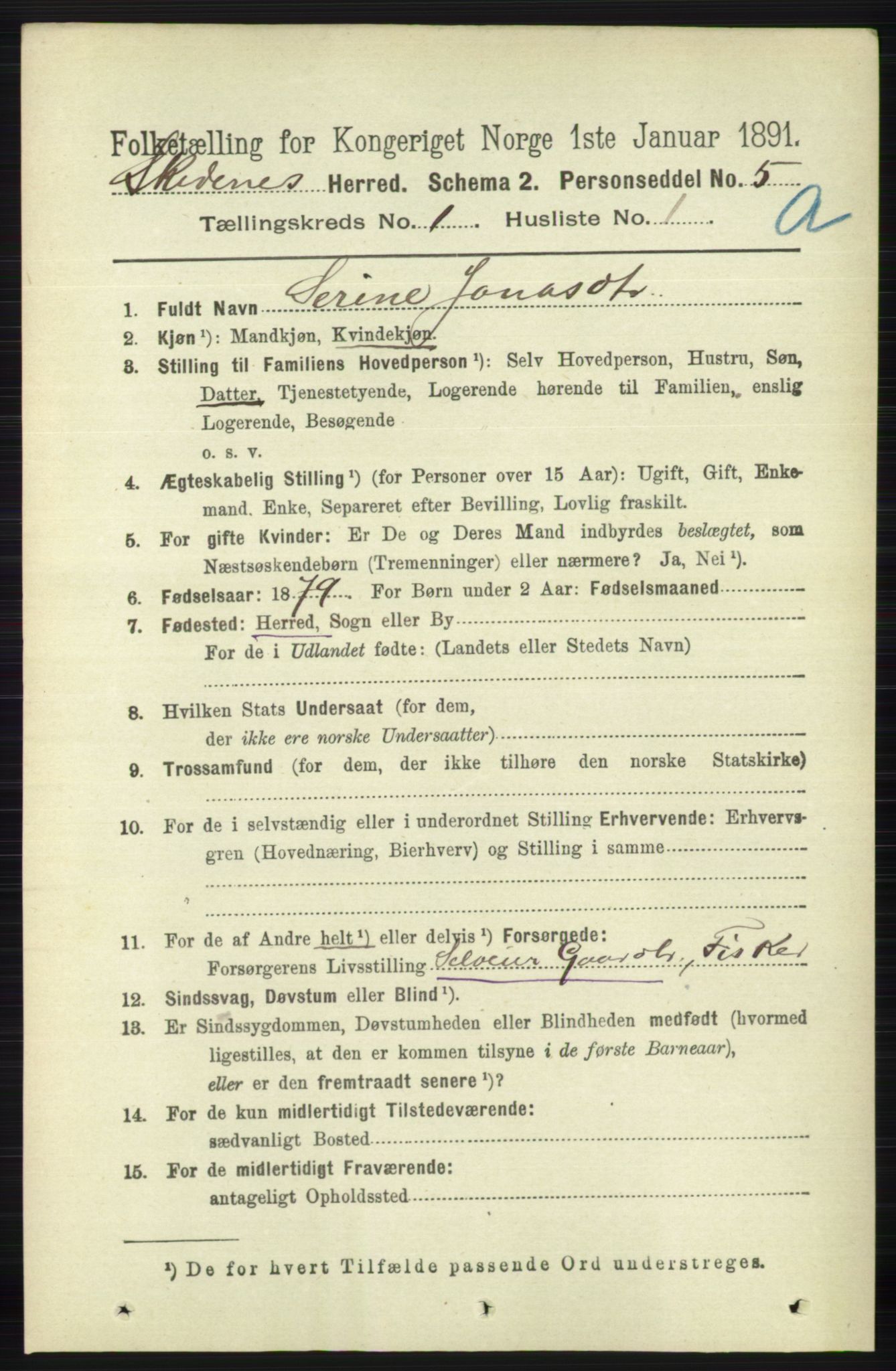 RA, 1891 census for 1150 Skudenes, 1891, p. 113