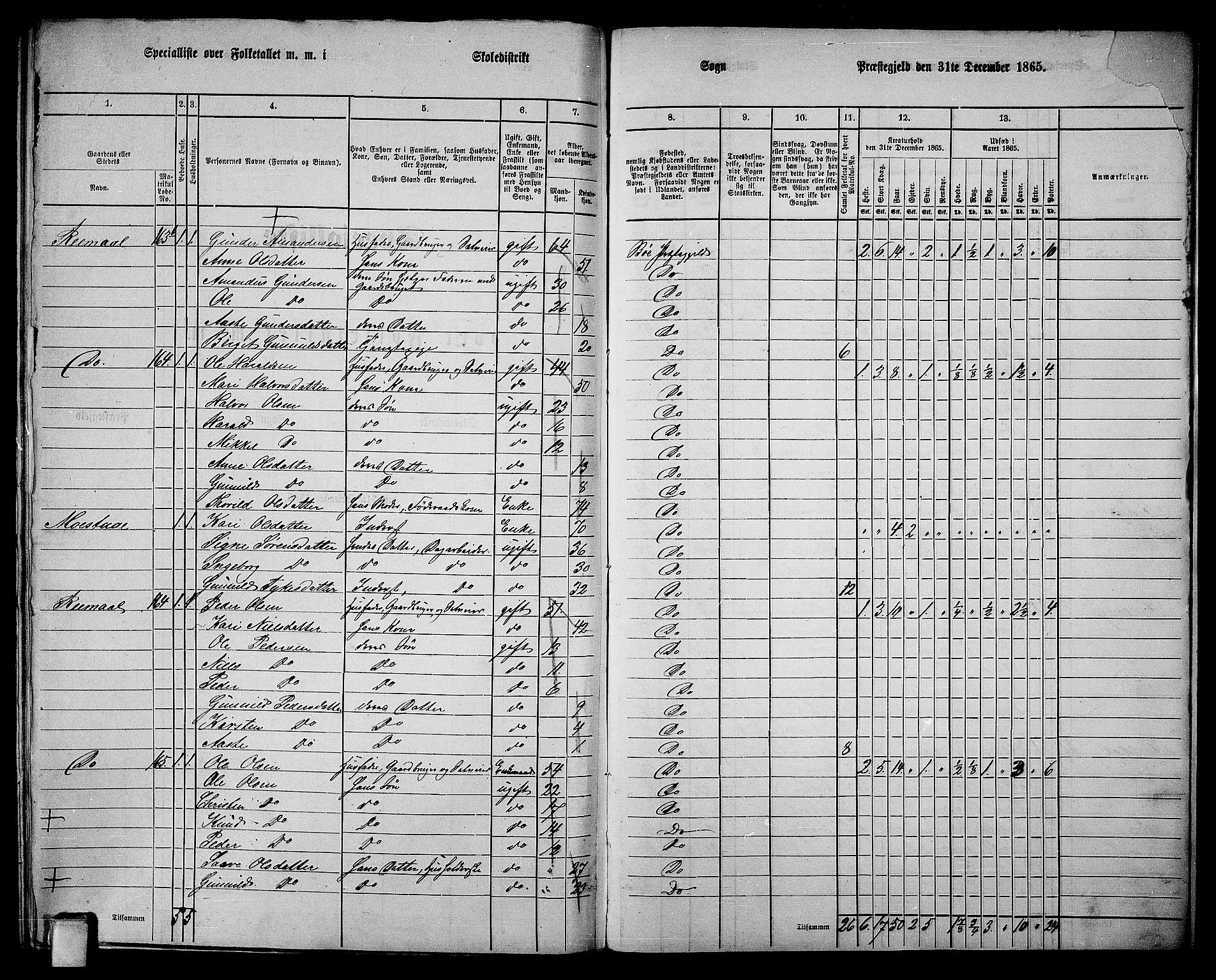 RA, 1865 census for Bø, 1865, p. 211