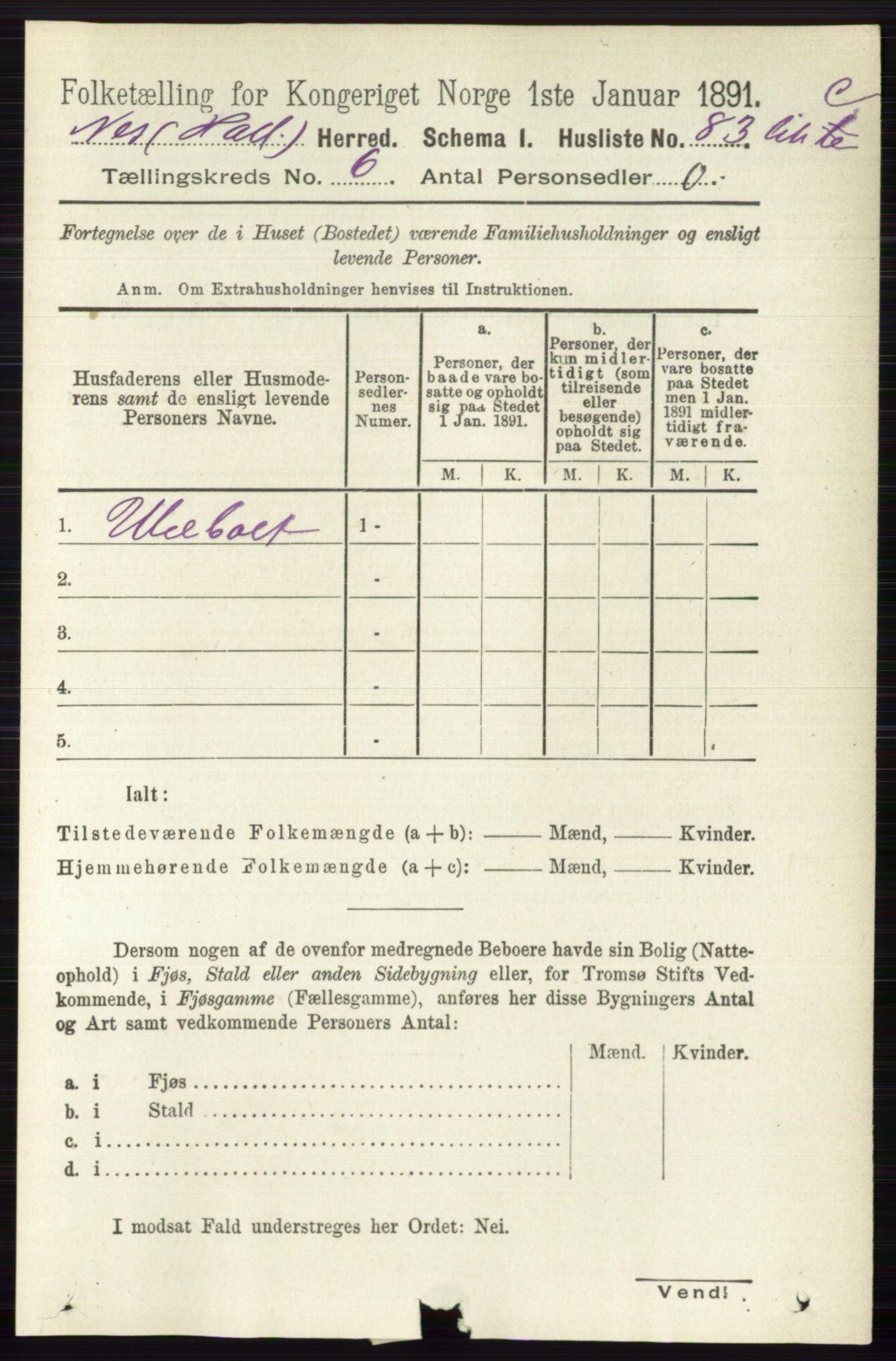 RA, 1891 census for 0616 Nes, 1891, p. 3039