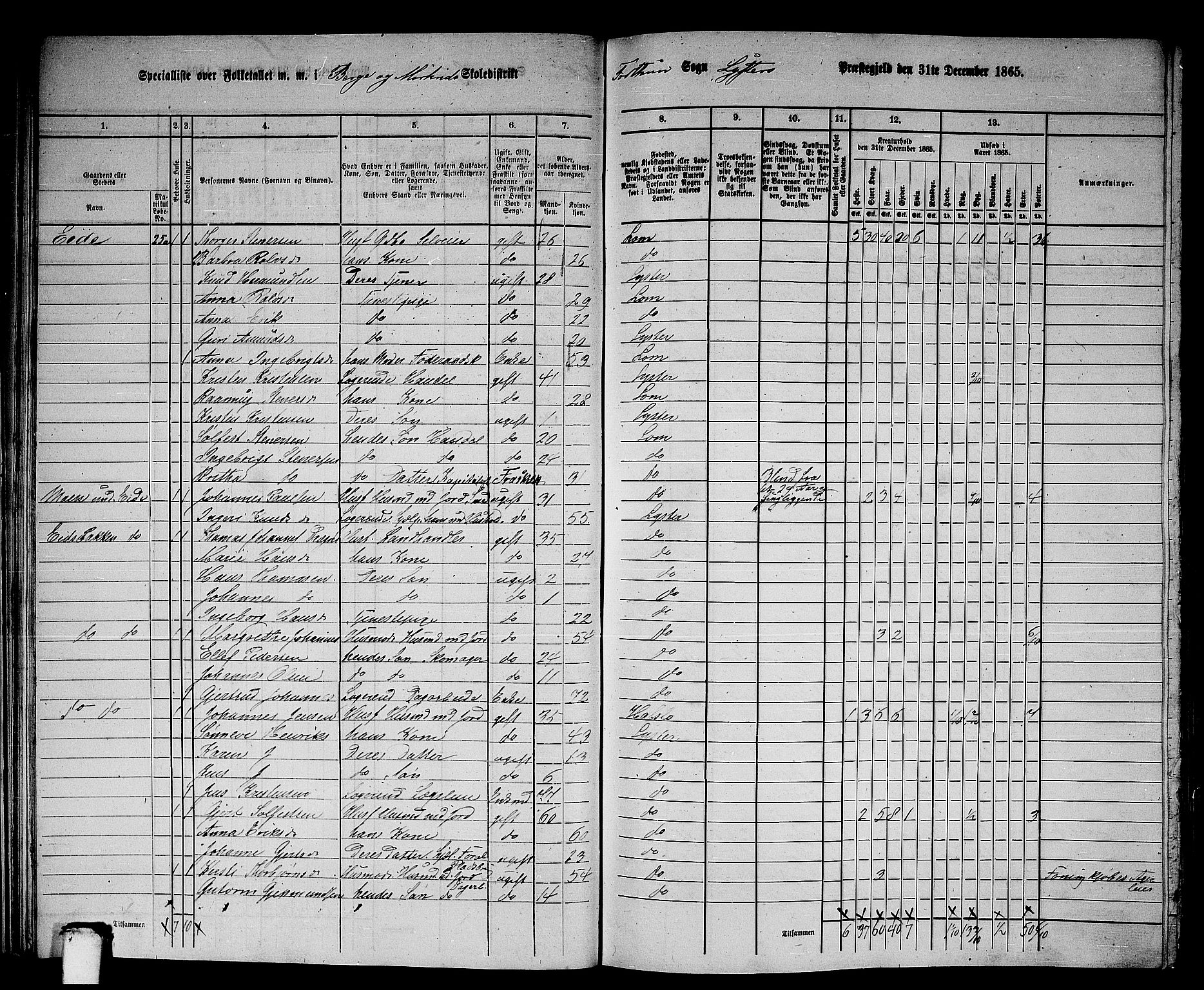 RA, 1865 census for Luster, 1865, p. 29