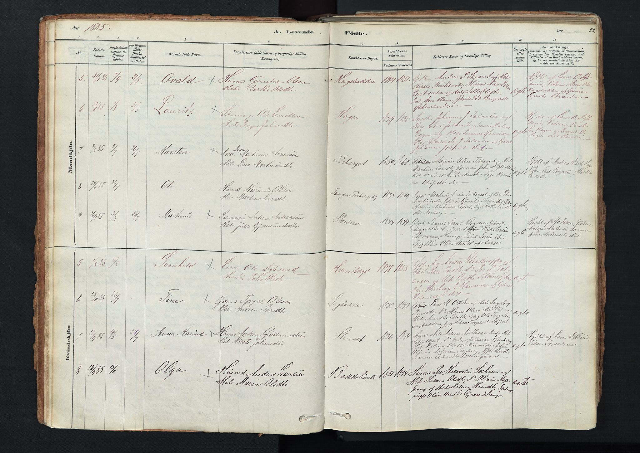 Trysil prestekontor, SAH/PREST-046/H/Ha/Haa/L0011: Parish register (official) no. 11, 1878-1912, p. 22