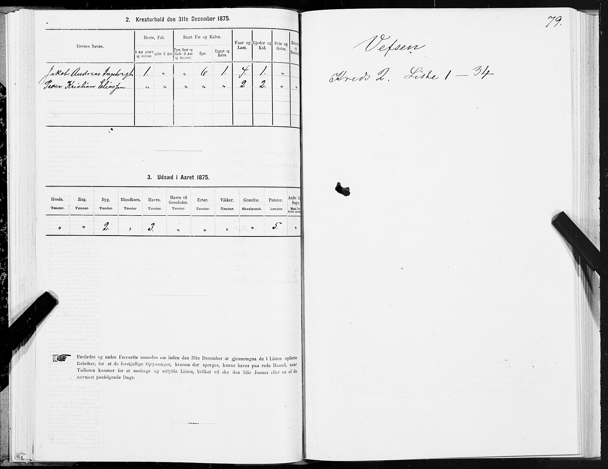 SAT, 1875 census for 1824L Vefsn/Vefsn, 1875, p. 1079