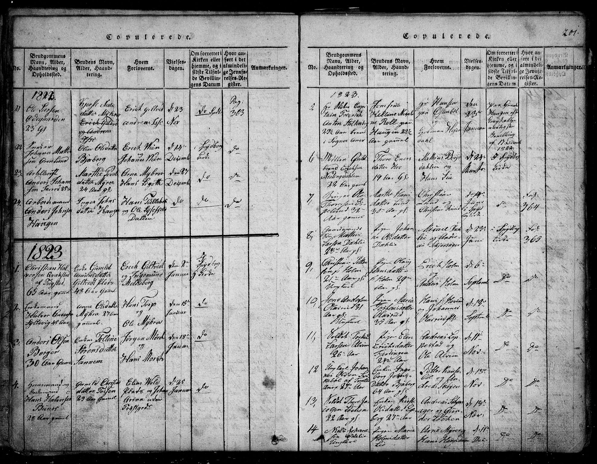 Spydeberg prestekontor Kirkebøker, SAO/A-10924/G/Ga/L0001: Parish register (copy) no. I 1, 1814-1868, p. 201