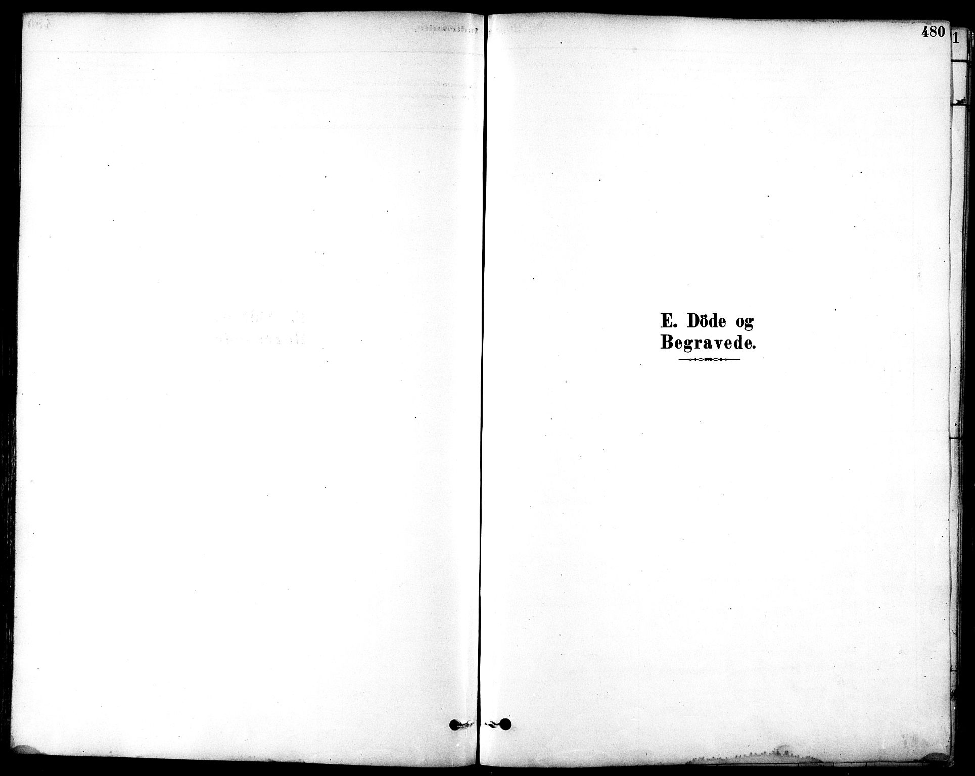 Ministerialprotokoller, klokkerbøker og fødselsregistre - Sør-Trøndelag, SAT/A-1456/601/L0058: Parish register (official) no. 601A26, 1877-1891, p. 480
