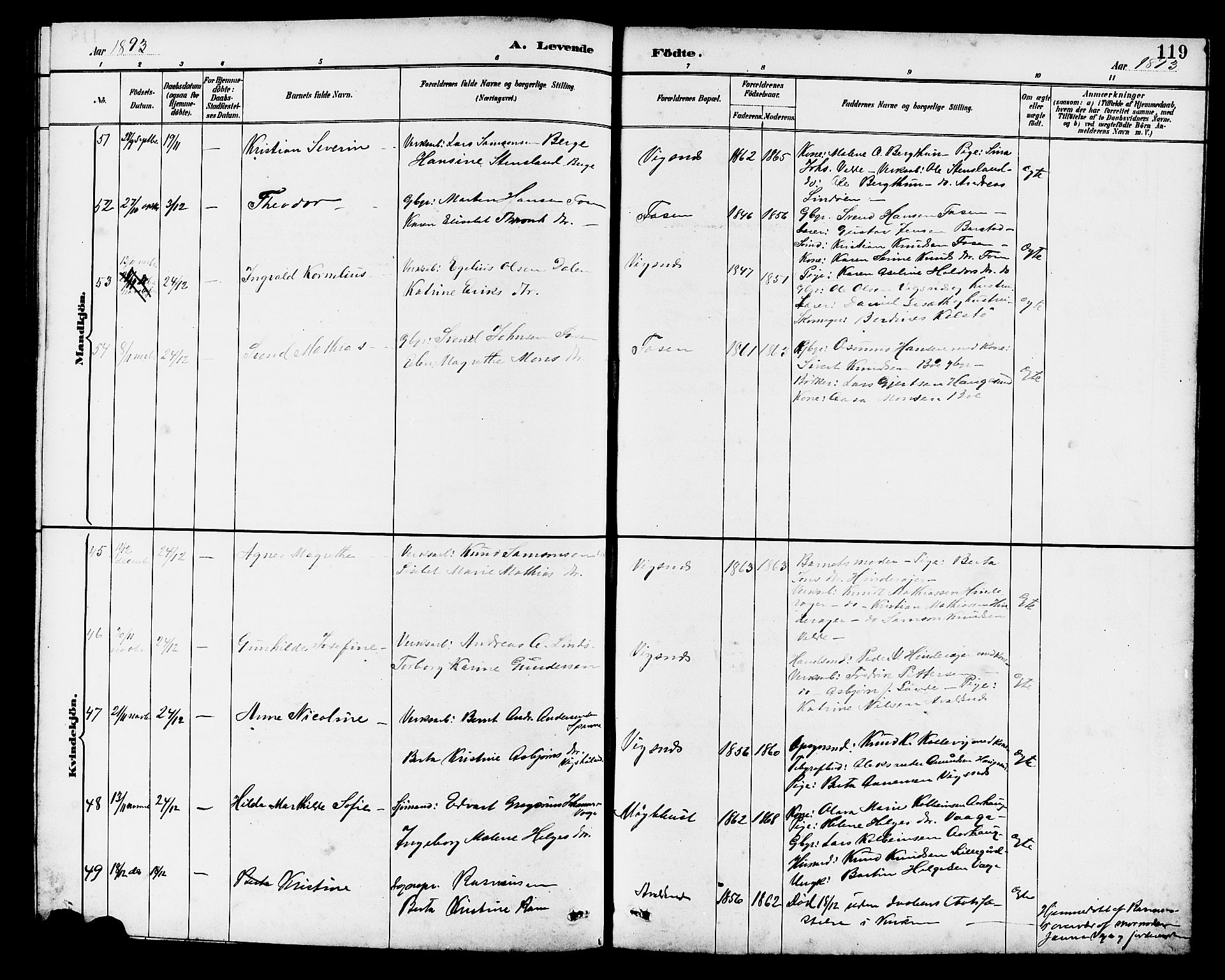 Avaldsnes sokneprestkontor, AV/SAST-A -101851/H/Ha/Hab/L0007: Parish register (copy) no. B 7, 1885-1909, p. 119