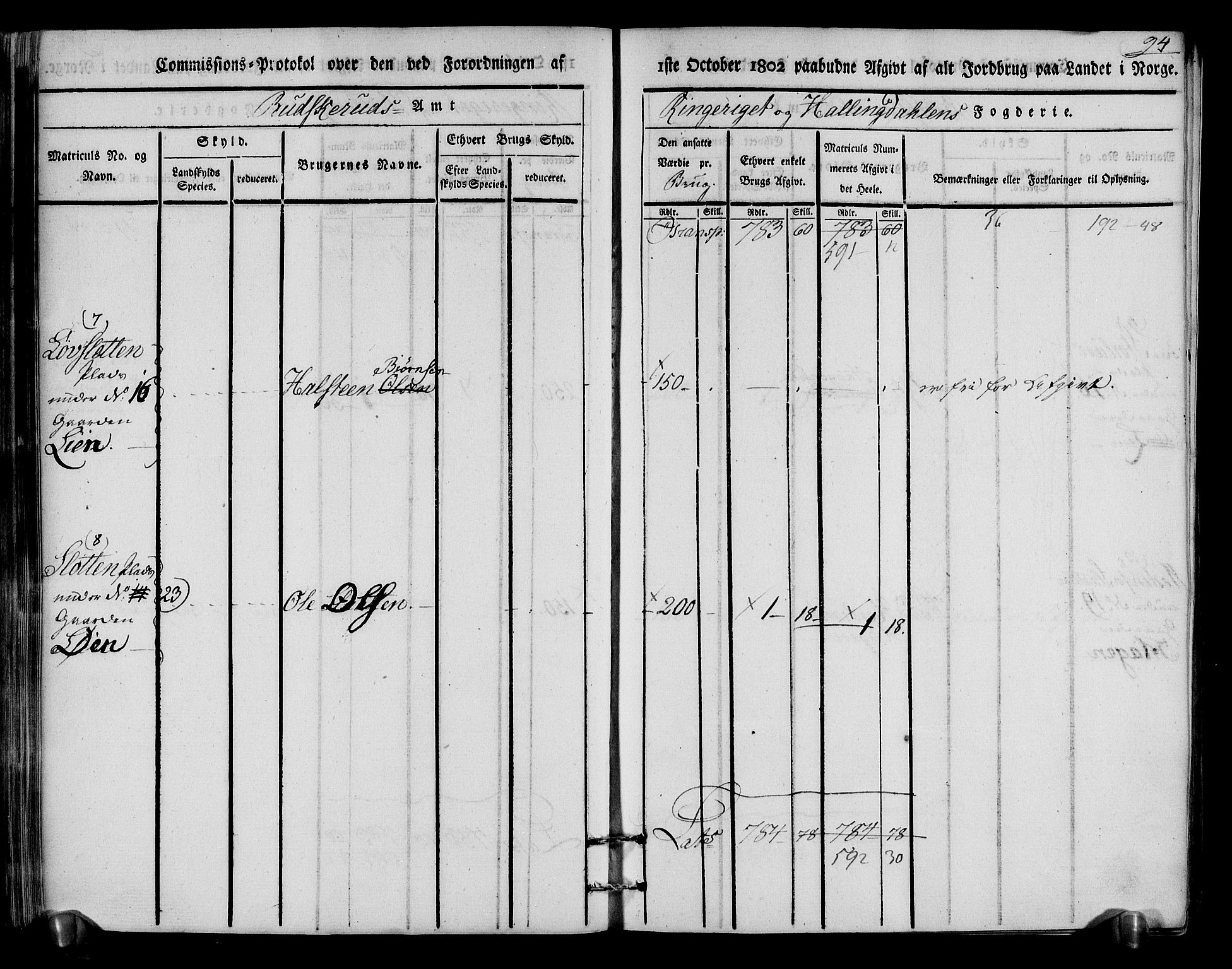 Rentekammeret inntil 1814, Realistisk ordnet avdeling, RA/EA-4070/N/Ne/Nea/L0048: Ringerike og Hallingdal fogderi. Kommisjonsprotokoll for Ål prestegjeld, 1803, p. 98