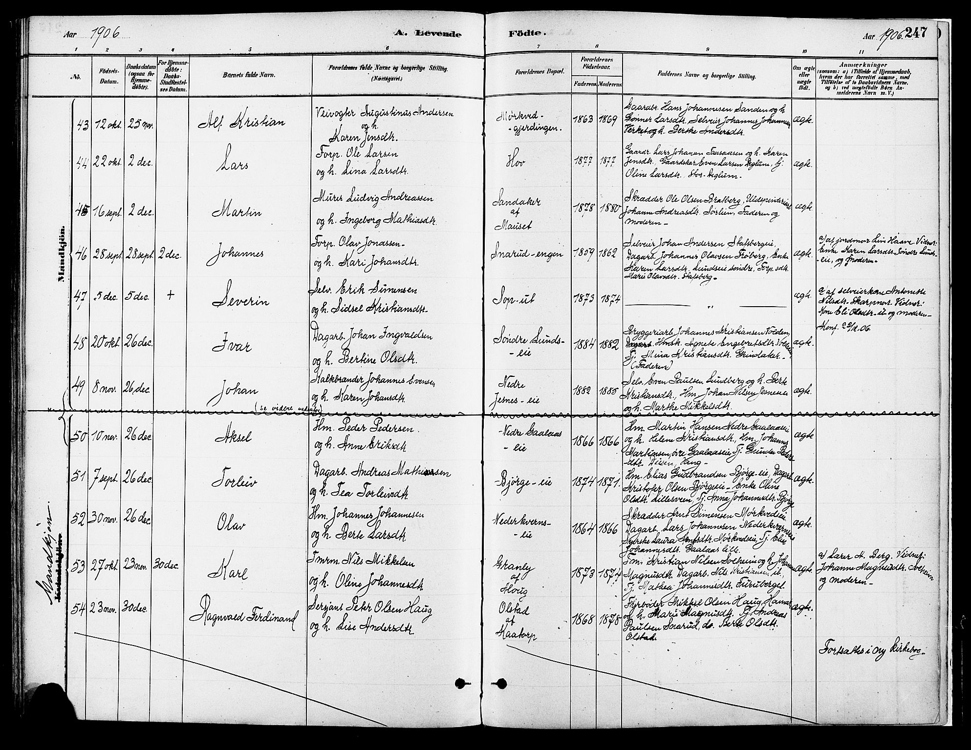 Vang prestekontor, Hedmark, AV/SAH-PREST-008/H/Ha/Haa/L0018A: Parish register (official) no. 18A, 1880-1906, p. 247