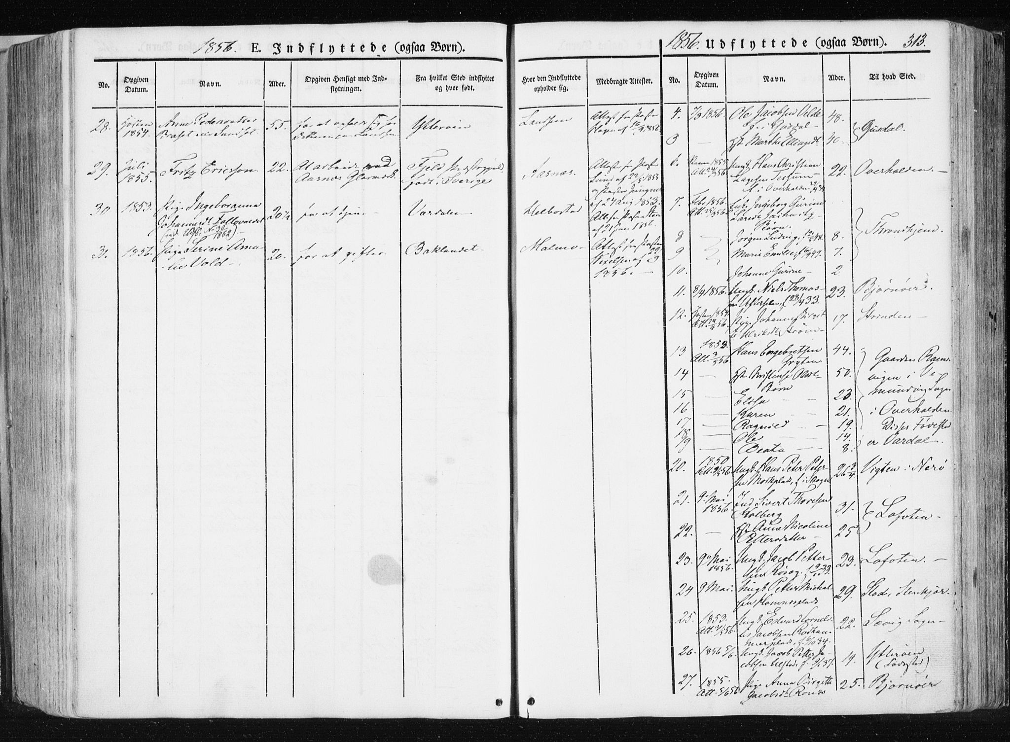 Ministerialprotokoller, klokkerbøker og fødselsregistre - Nord-Trøndelag, SAT/A-1458/741/L0393: Parish register (official) no. 741A07, 1849-1863, p. 313