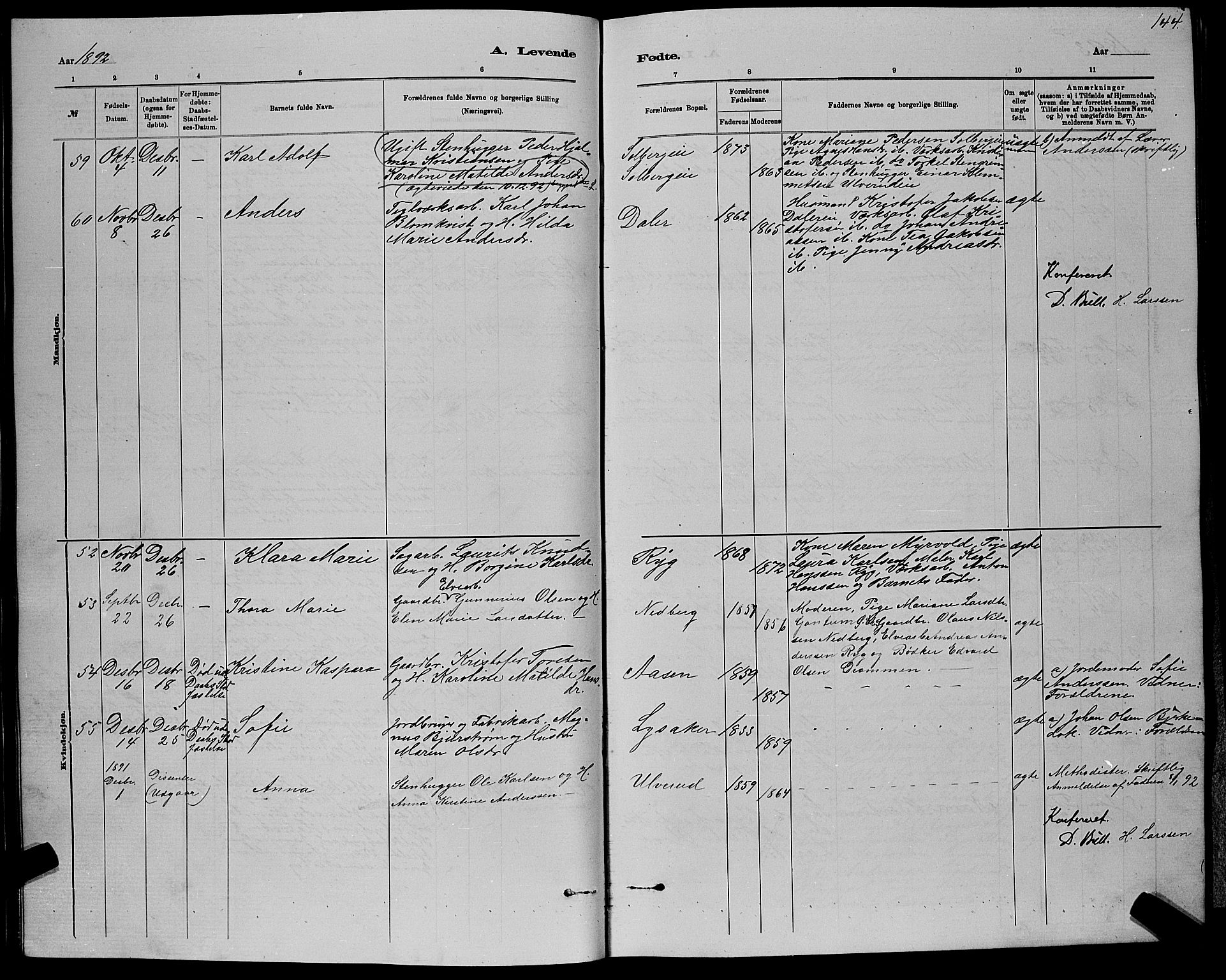 Nedre Eiker kirkebøker, AV/SAKO-A-612/G/Ga/L0002: Parish register (copy) no. 2, 1880-1896, p. 144