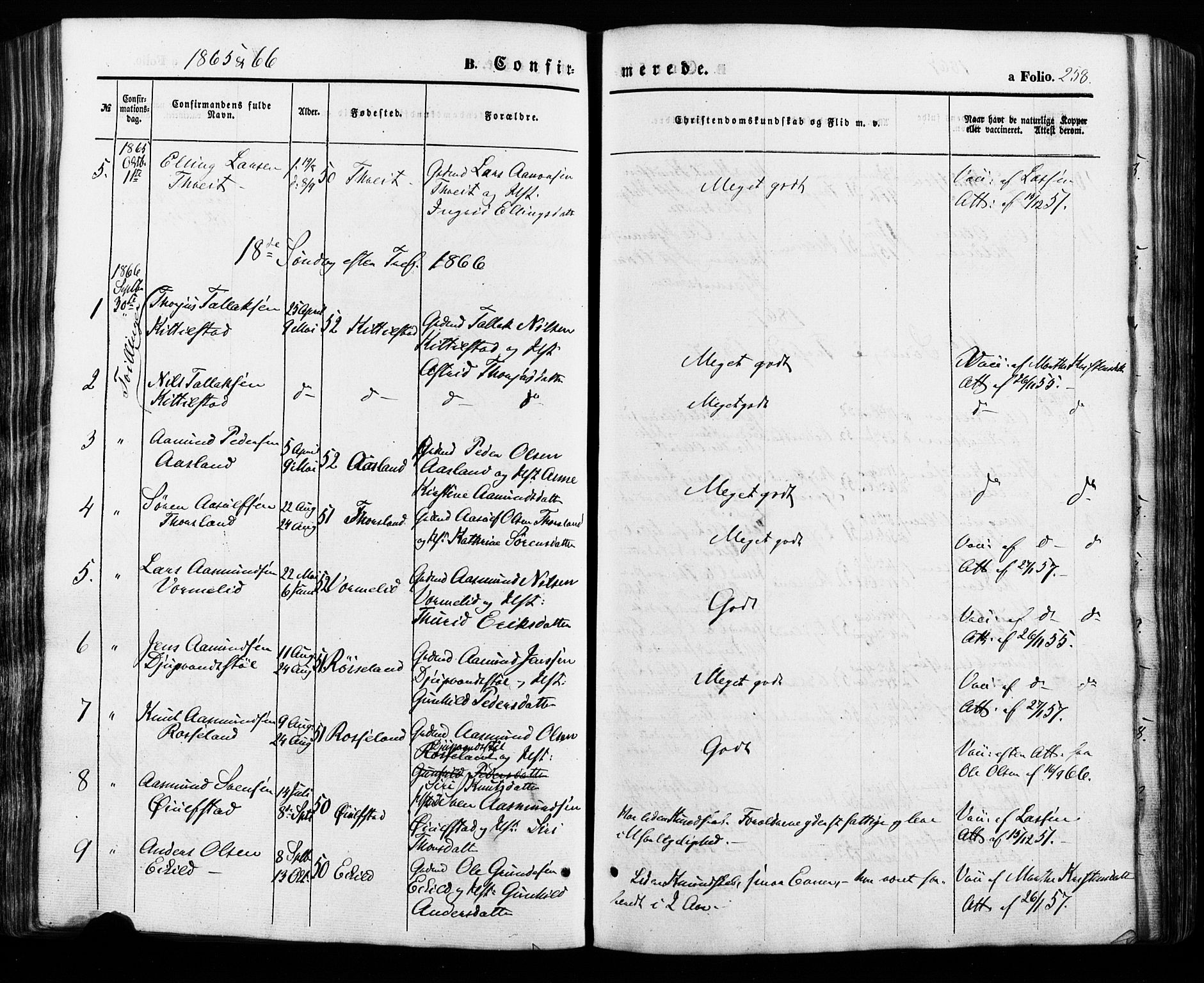 Åseral sokneprestkontor, AV/SAK-1111-0051/F/Fa/L0002: Parish register (official) no. A 2, 1854-1884, p. 258