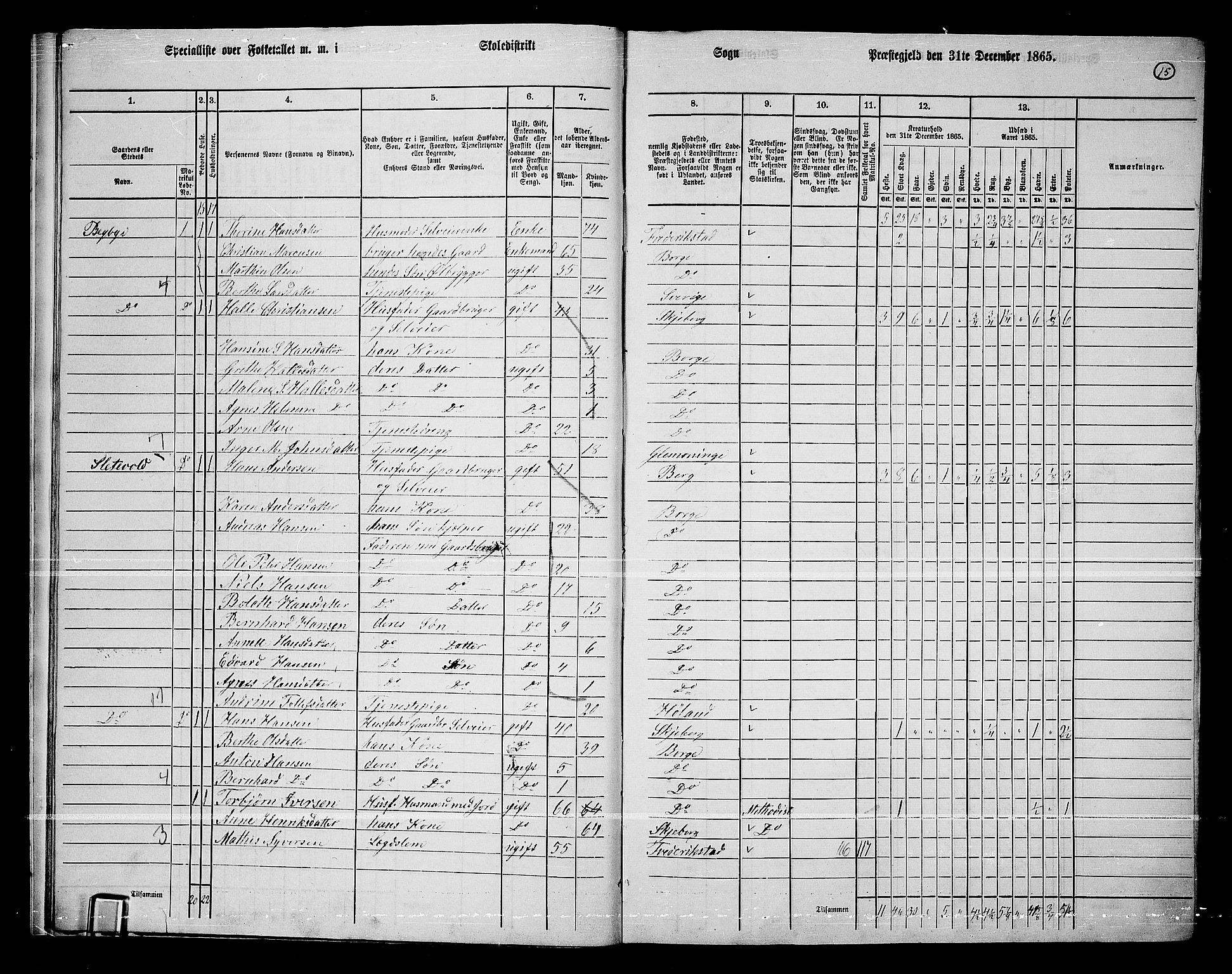 RA, 1865 census for Borge, 1865, p. 15
