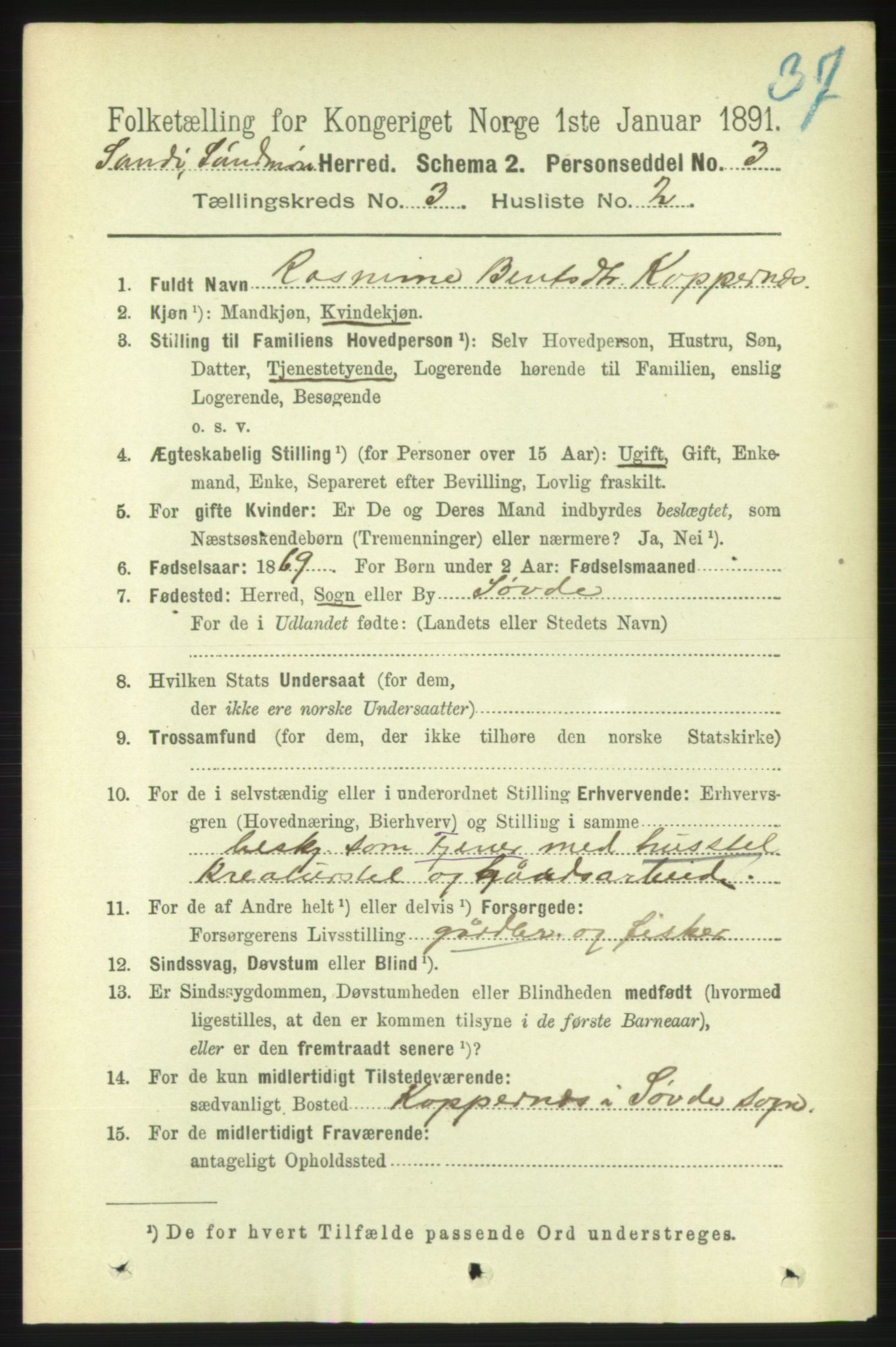 RA, 1891 census for 1514 Sande, 1891, p. 463