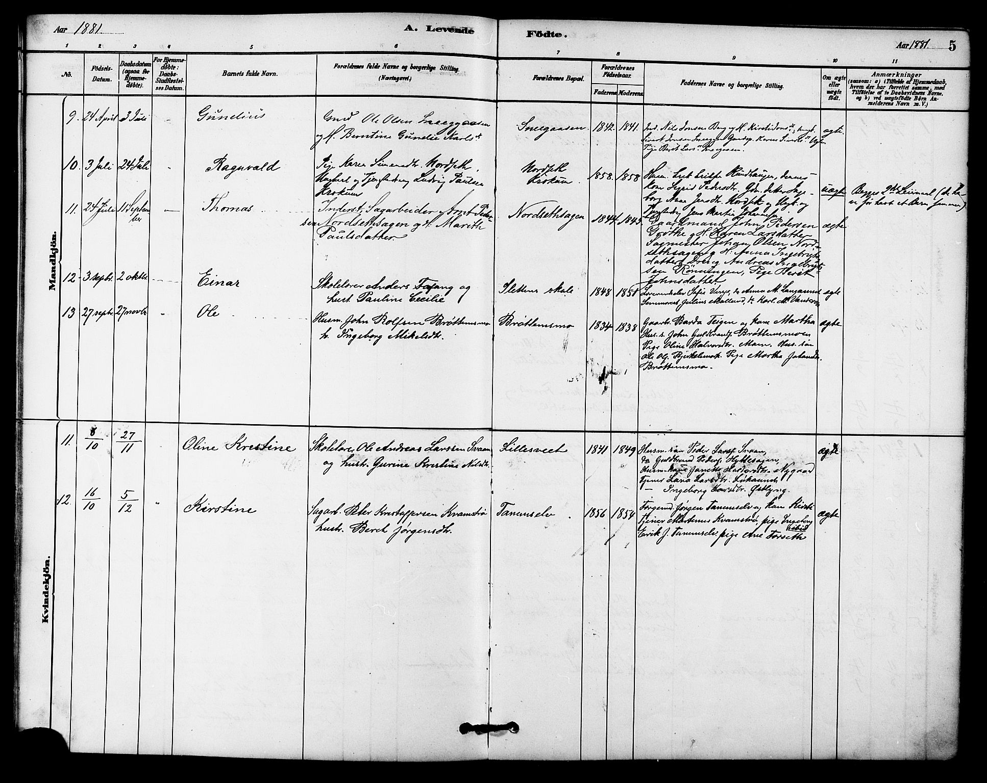 Ministerialprotokoller, klokkerbøker og fødselsregistre - Sør-Trøndelag, SAT/A-1456/618/L0444: Parish register (official) no. 618A07, 1880-1898, p. 5