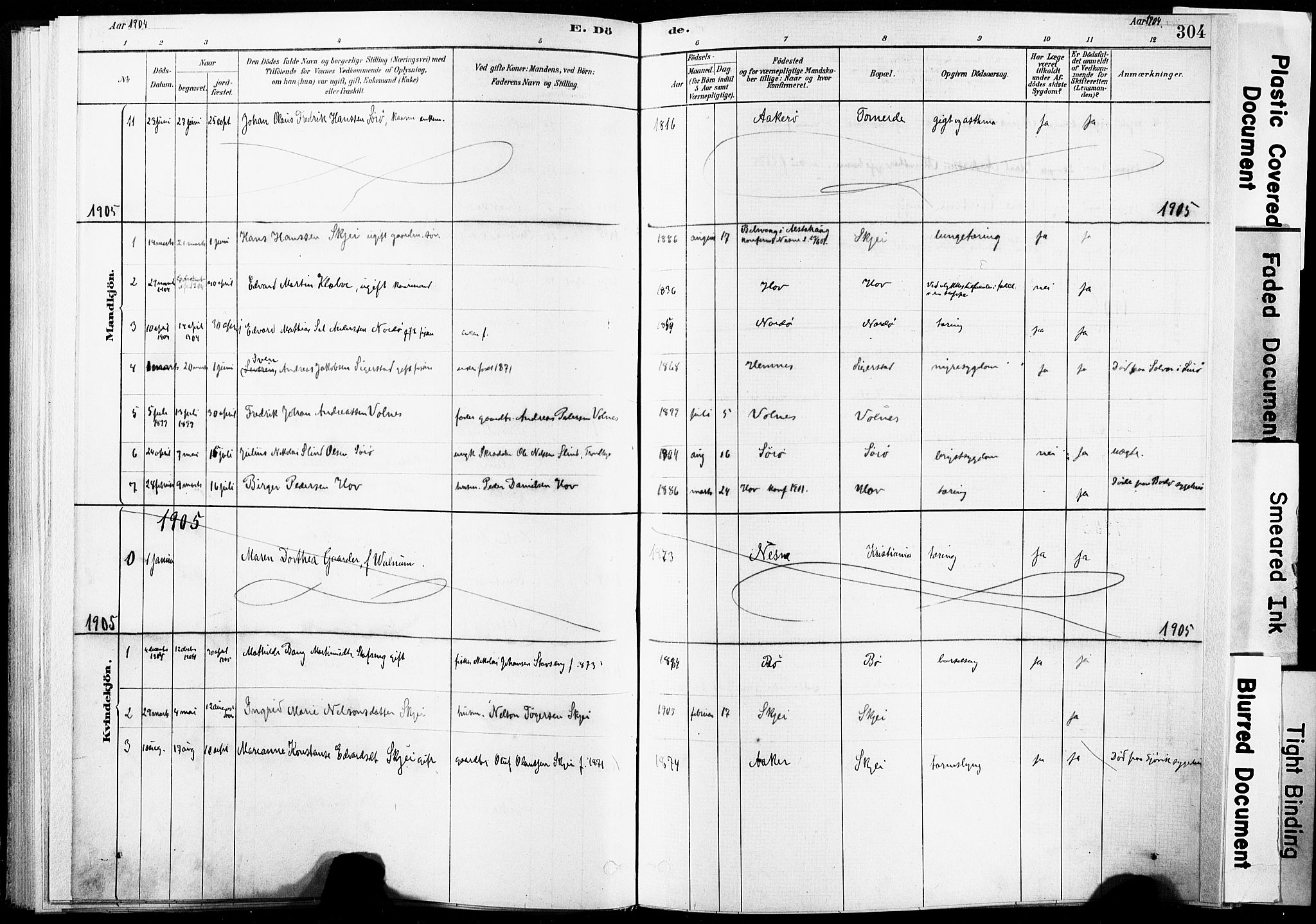 Ministerialprotokoller, klokkerbøker og fødselsregistre - Nordland, AV/SAT-A-1459/835/L0526: Parish register (official) no. 835A03II, 1881-1910, p. 304