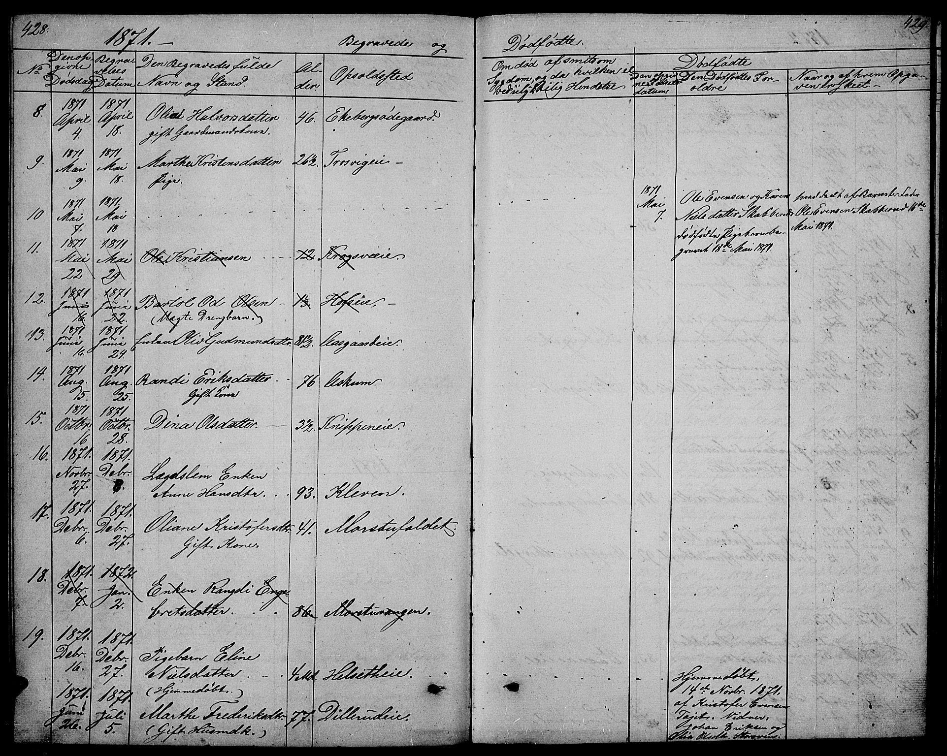 Stange prestekontor, AV/SAH-PREST-002/L/L0005: Parish register (copy) no. 5, 1861-1881, p. 428-429