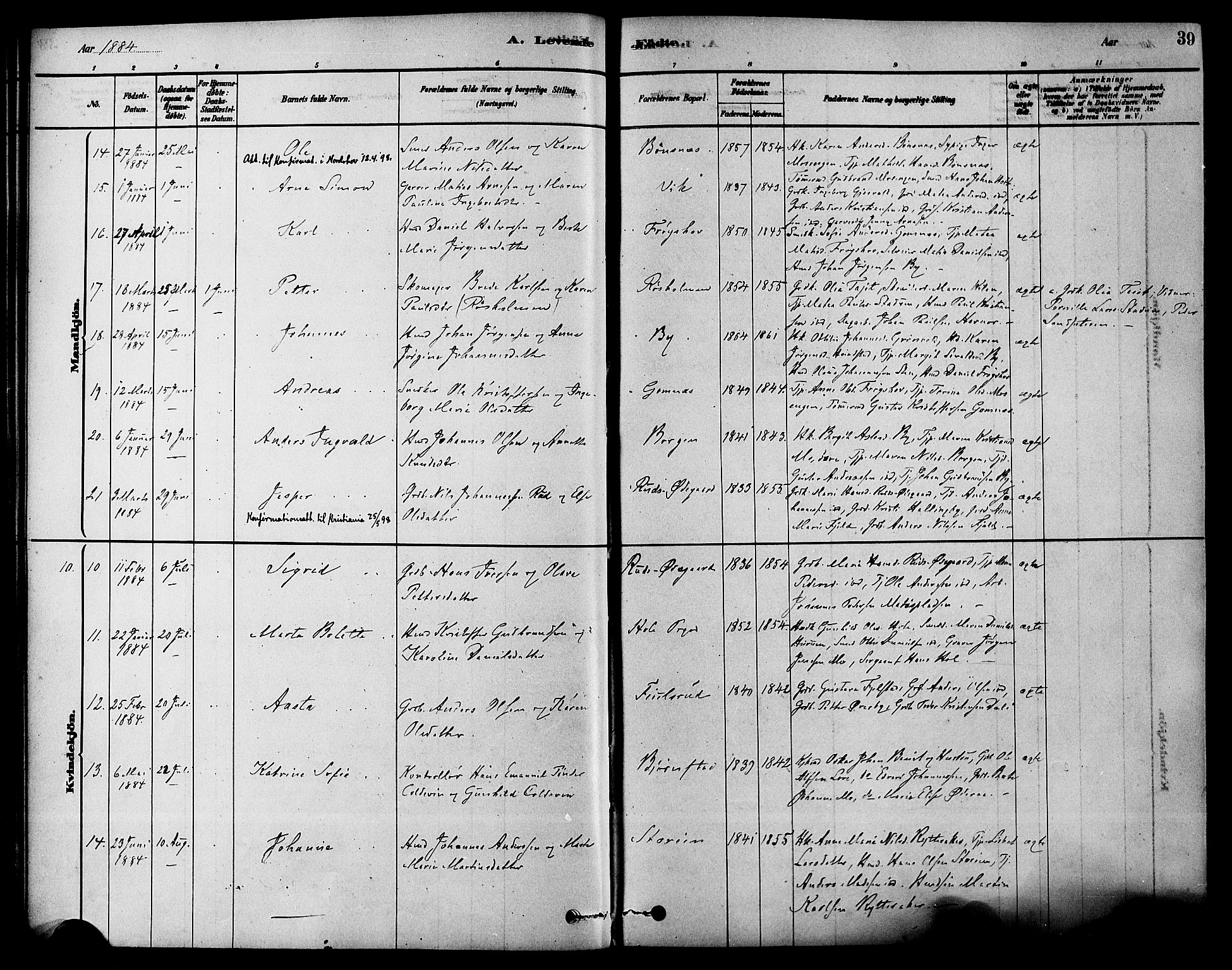 Hole kirkebøker, SAKO/A-228/F/Fa/L0008: Parish register (official) no. I 8, 1878-1891, p. 39